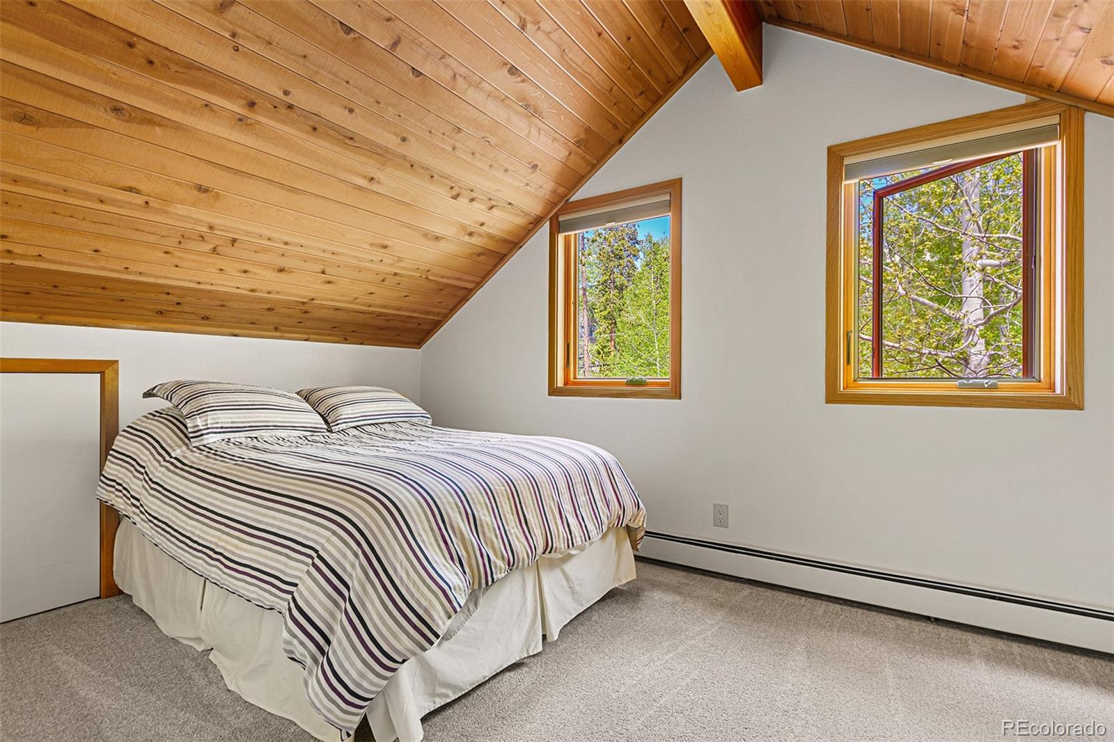 MLS Image #32 for 87  spring beauty drive,silverthorne, Colorado
