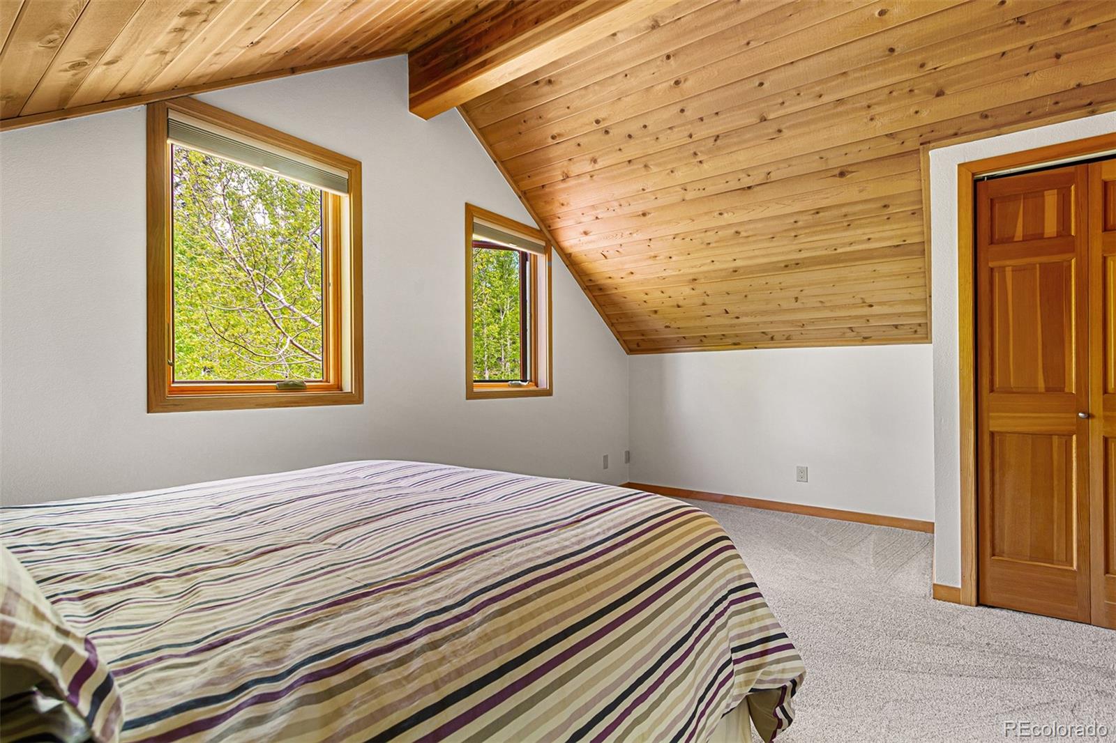 MLS Image #33 for 87  spring beauty drive,silverthorne, Colorado