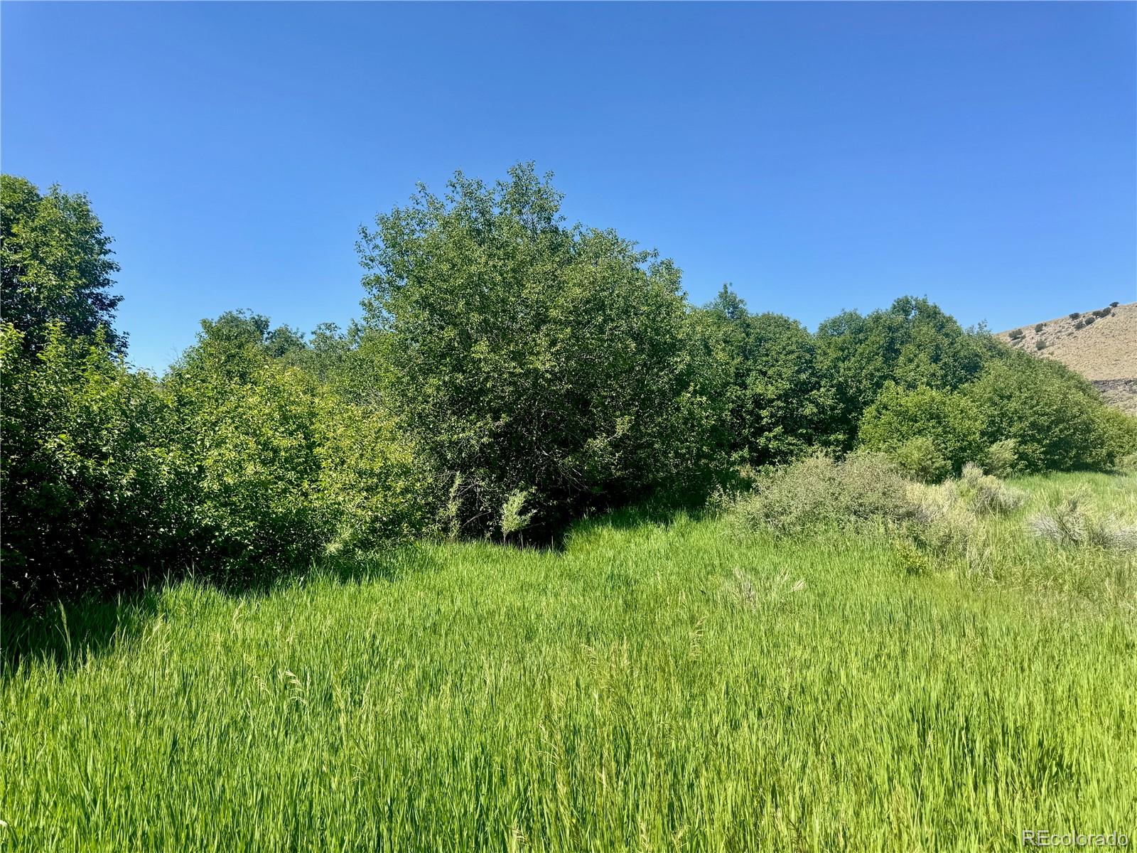 MLS Image #17 for 218  canyon road,capulin, Colorado