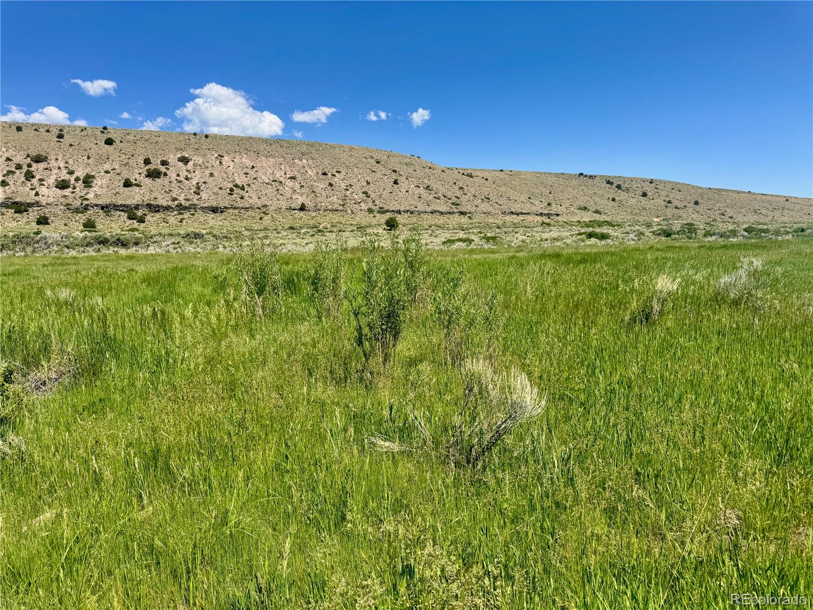 MLS Image #18 for 218  canyon road,capulin, Colorado