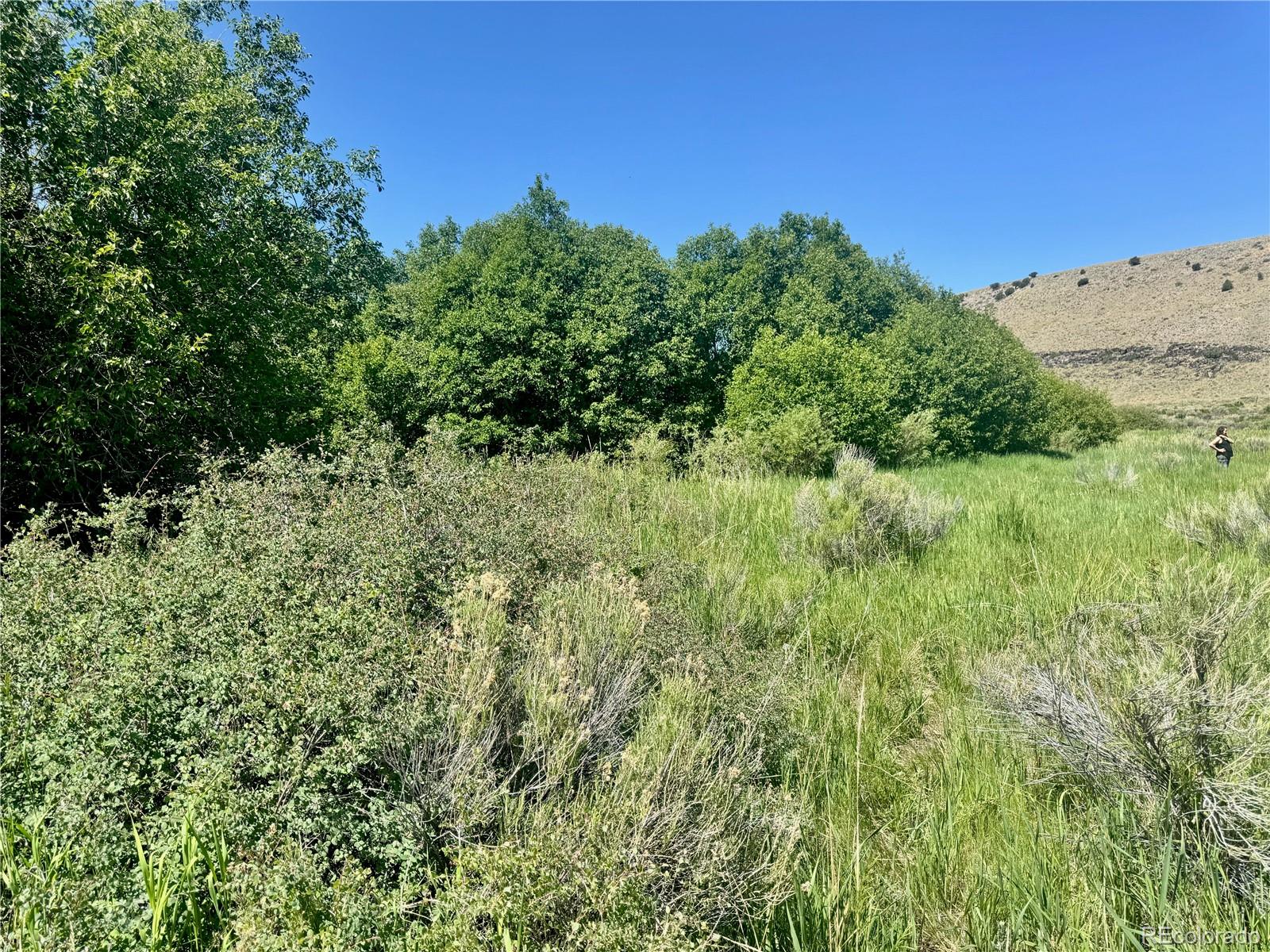 MLS Image #19 for 218  canyon road,capulin, Colorado