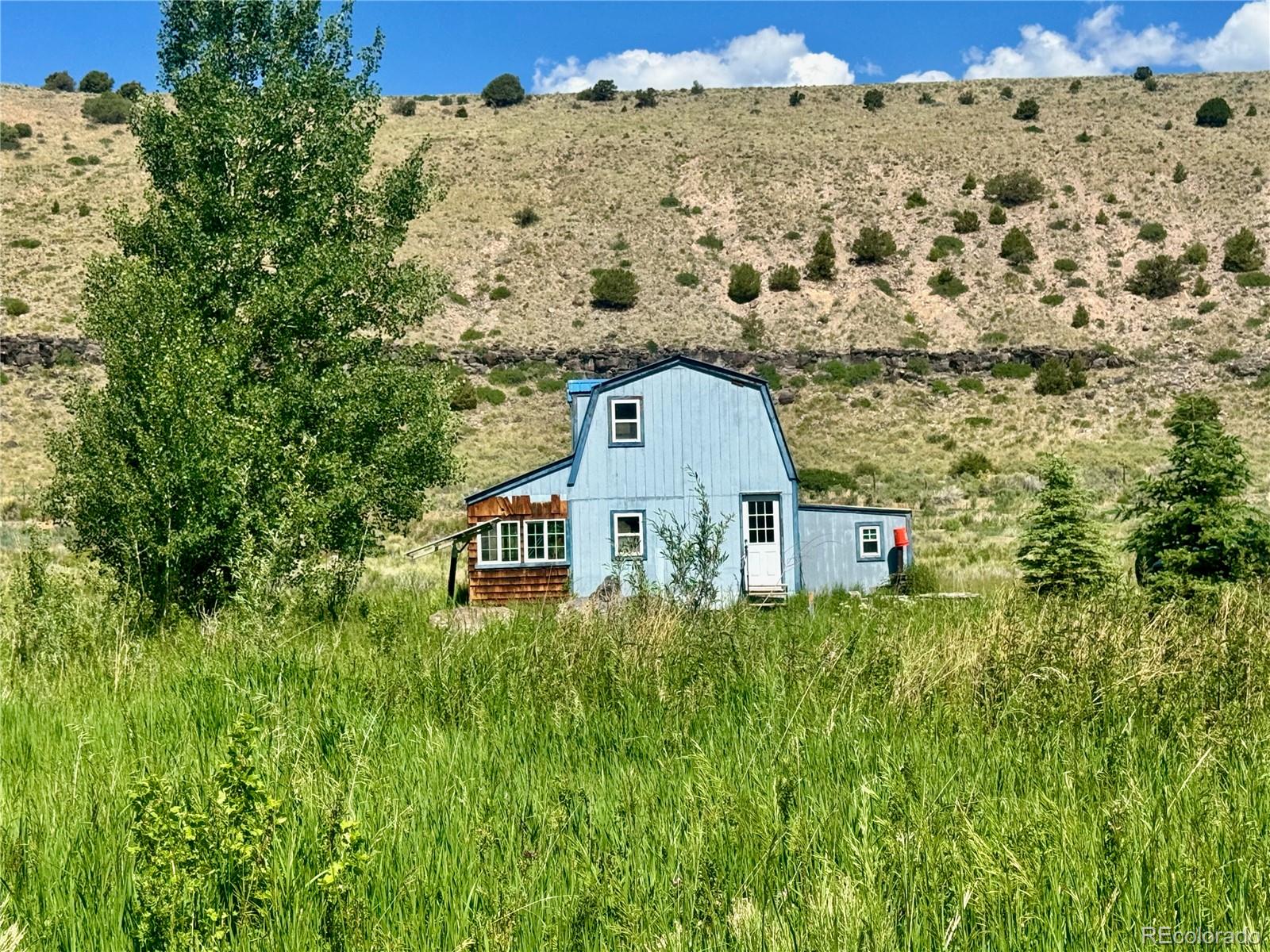 MLS Image #4 for 218  canyon road,capulin, Colorado
