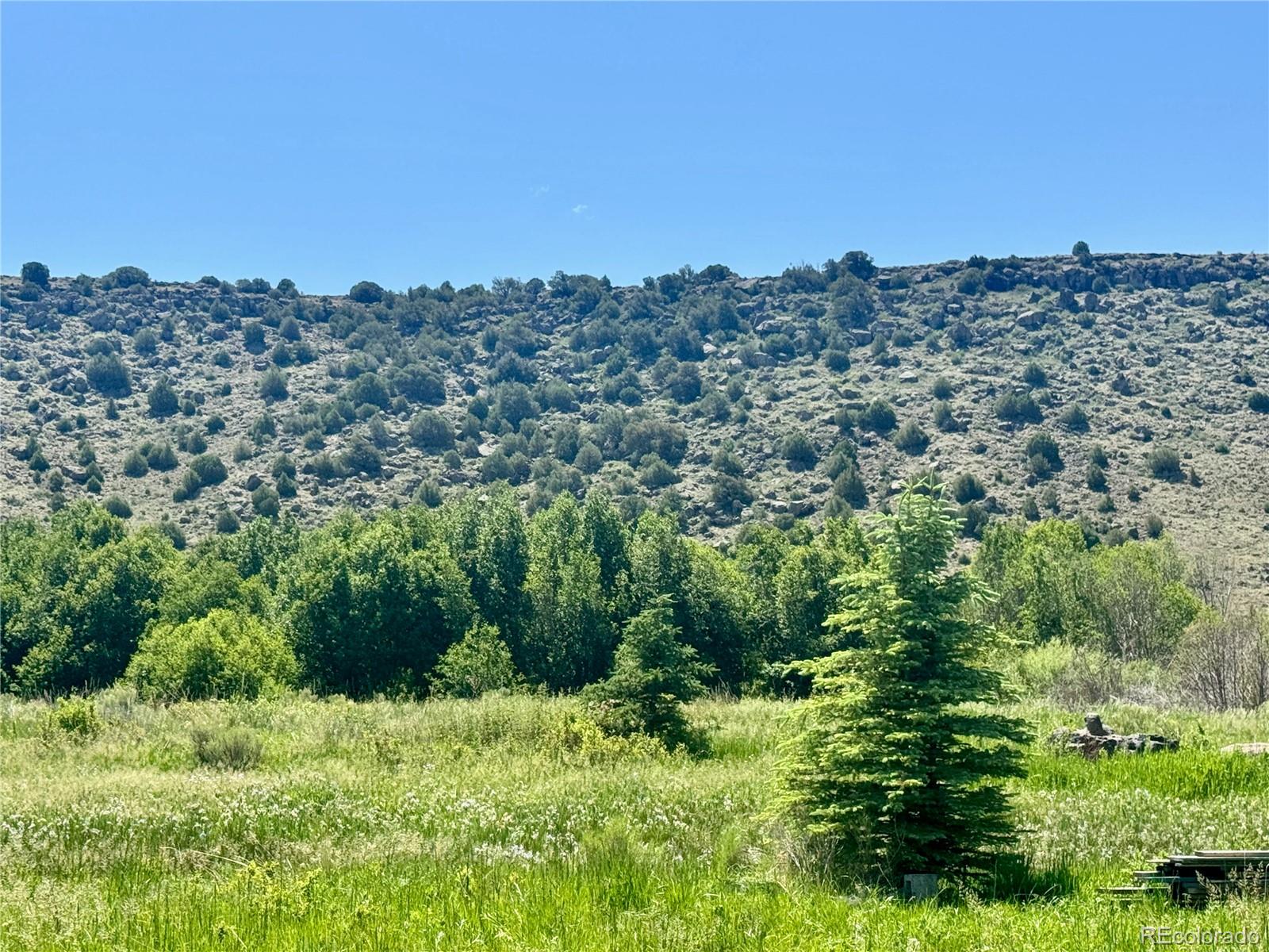 MLS Image #5 for 218  canyon road,capulin, Colorado