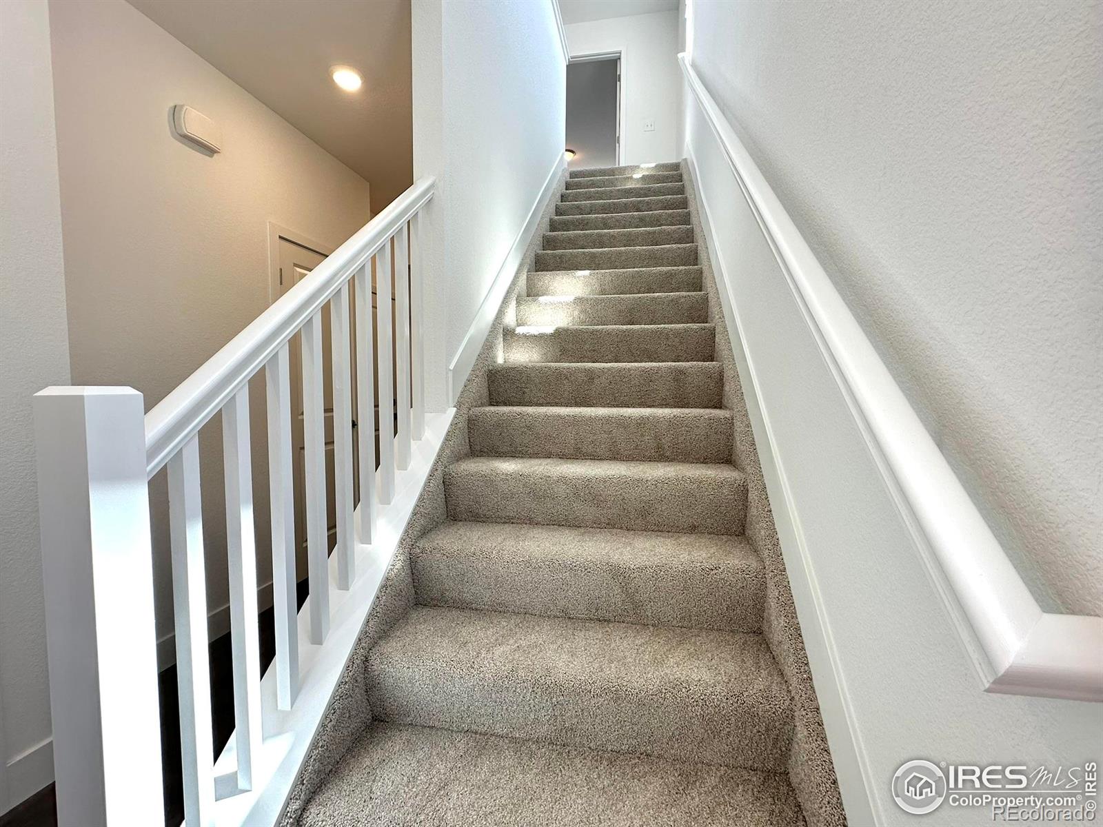 MLS Image #17 for 746  star grass lane,fort collins, Colorado