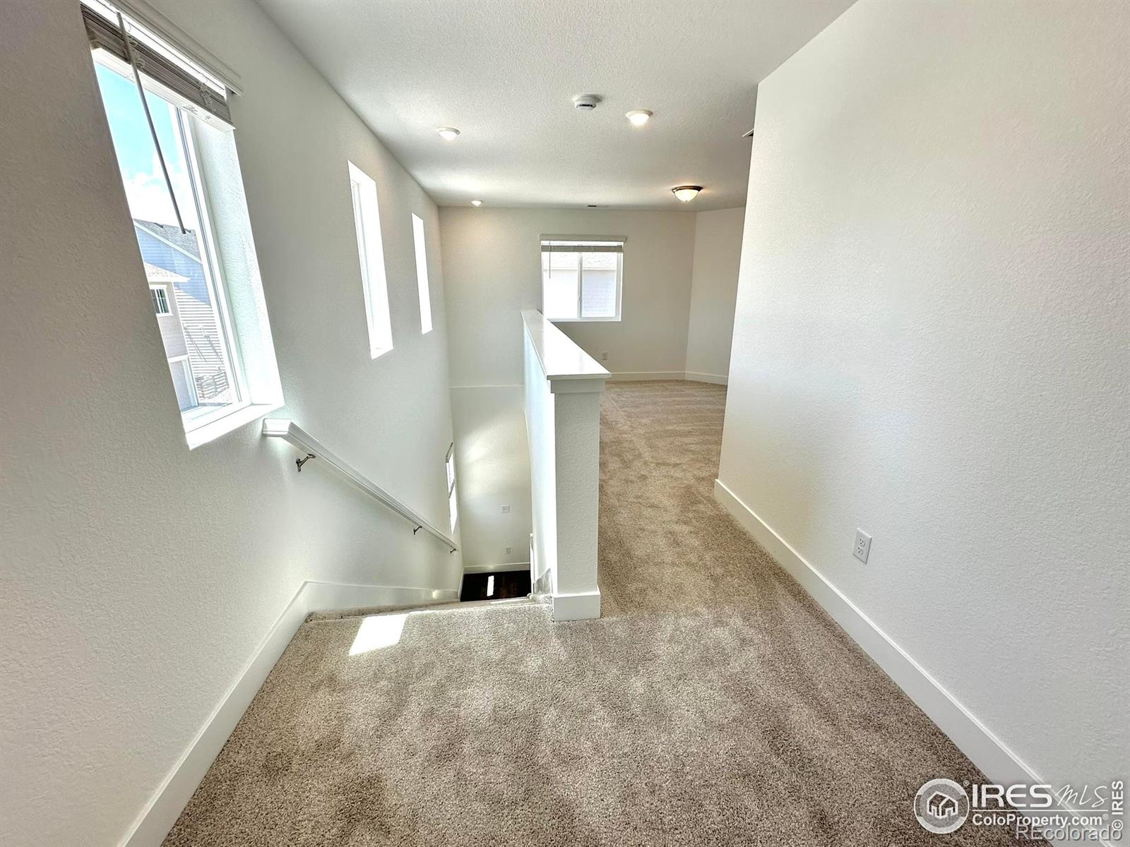 MLS Image #18 for 746  star grass lane,fort collins, Colorado
