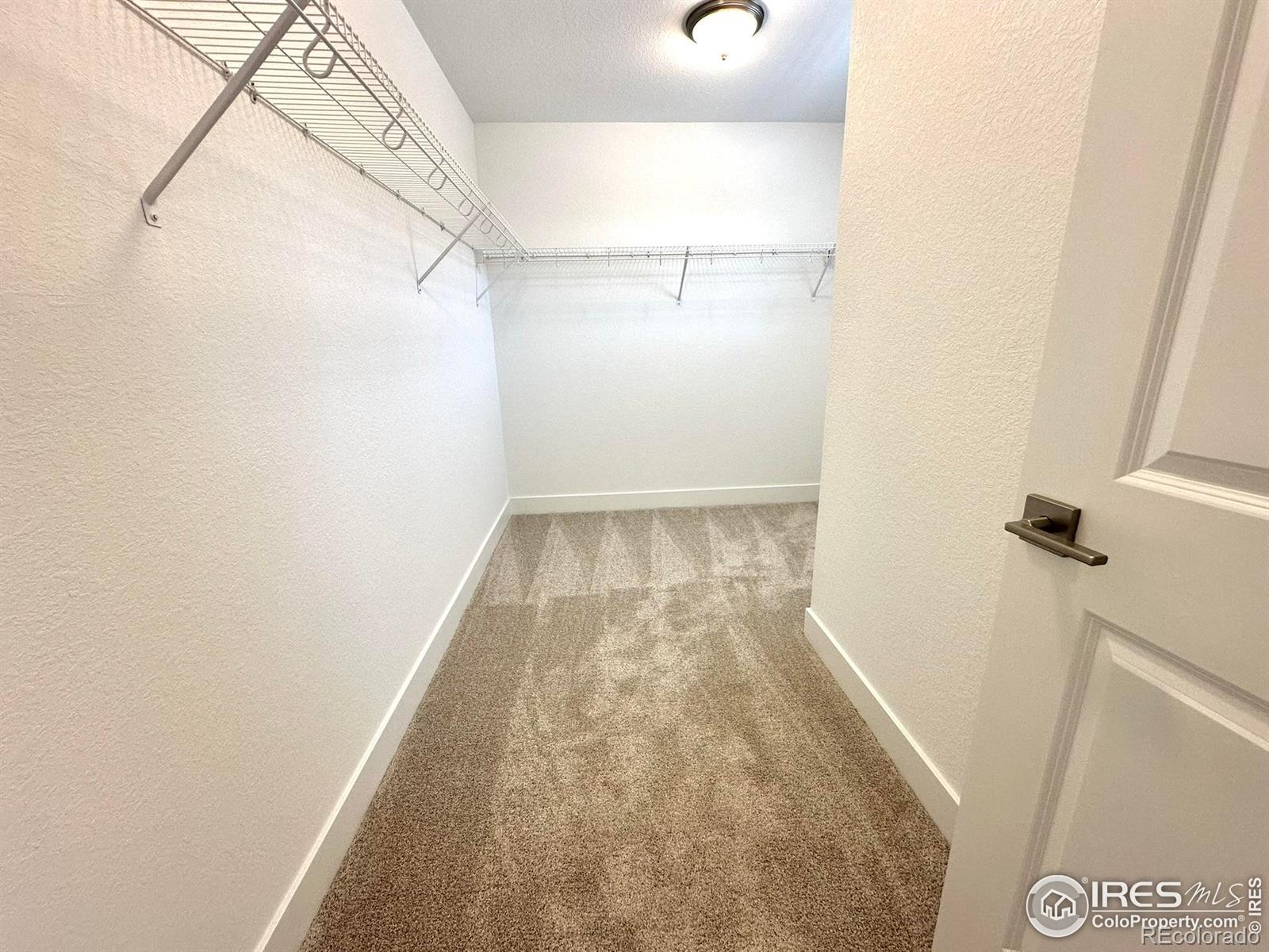 MLS Image #23 for 746  star grass lane,fort collins, Colorado