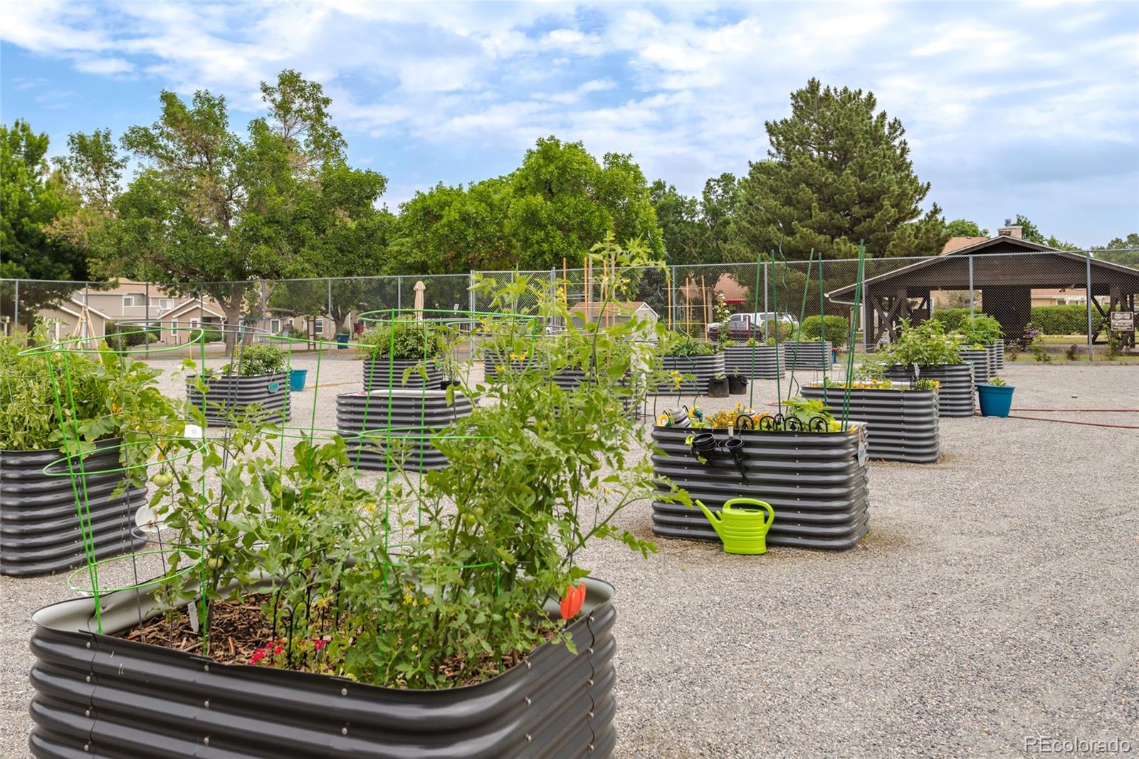 MLS Image #18 for 8463  everett way,arvada, Colorado