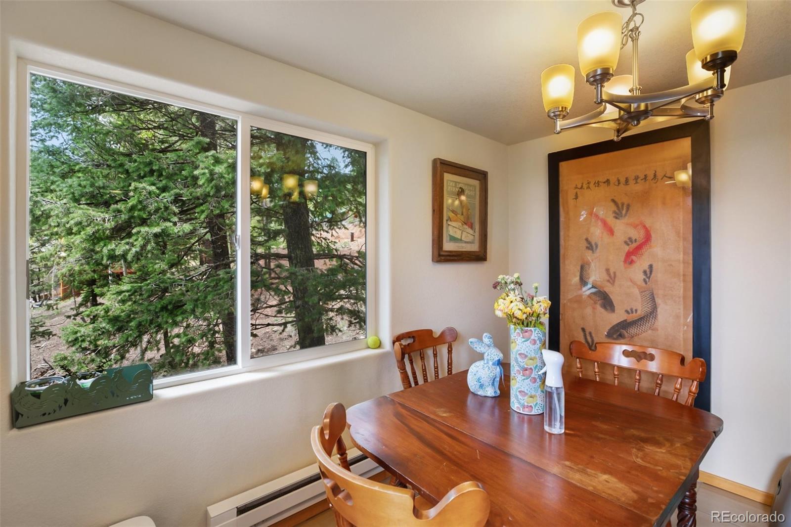 MLS Image #10 for 501  wakanda trail,woodland park, Colorado