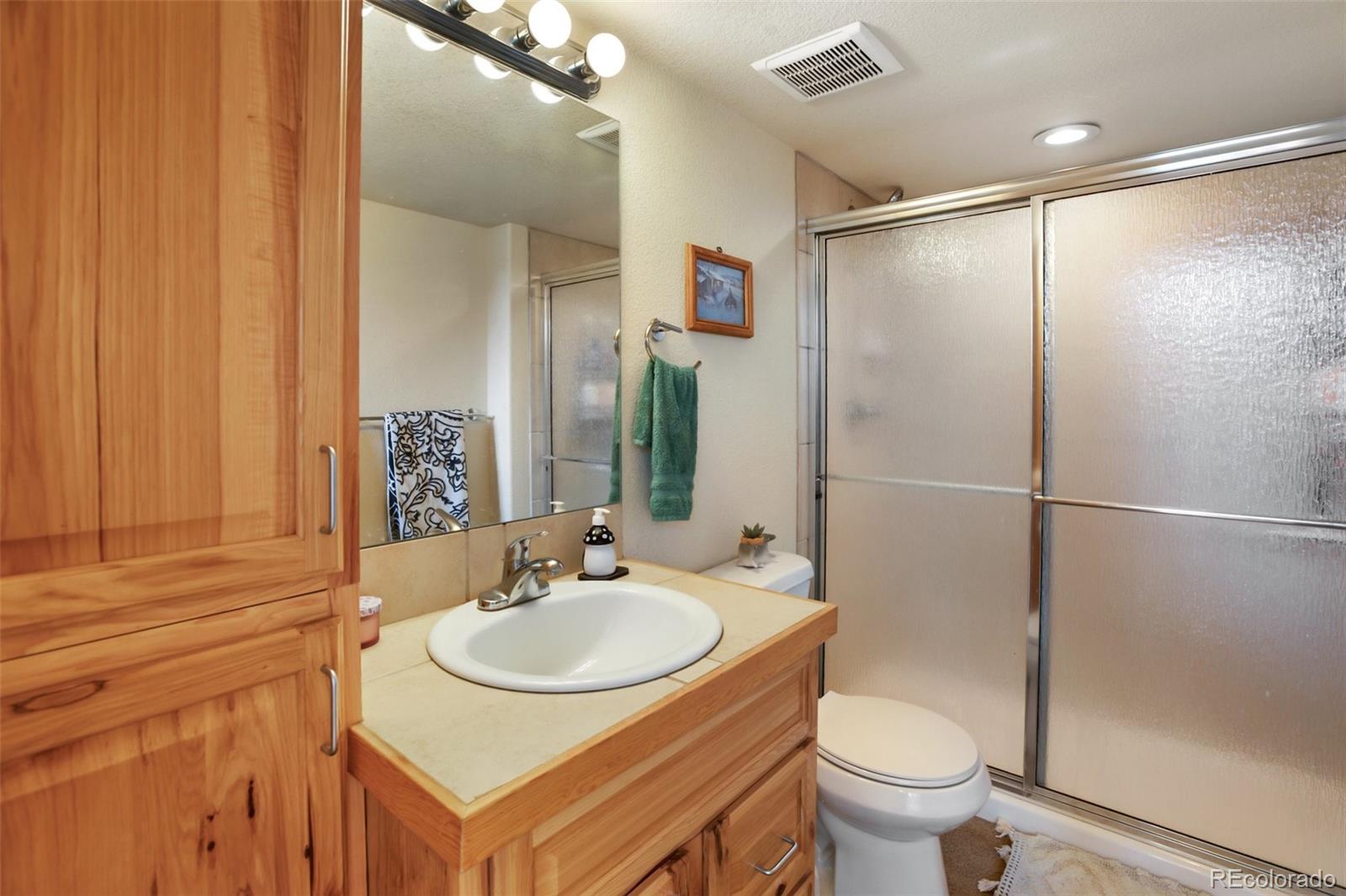 MLS Image #11 for 501  wakanda trail,woodland park, Colorado