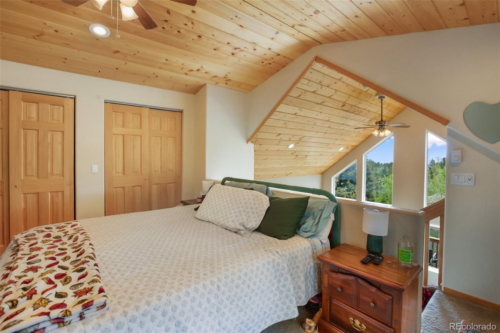 MLS Image #12 for 501  wakanda trail,woodland park, Colorado