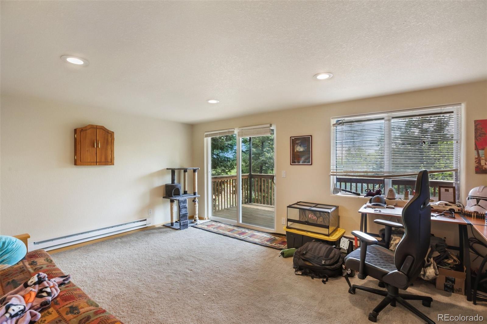 MLS Image #16 for 501  wakanda trail,woodland park, Colorado