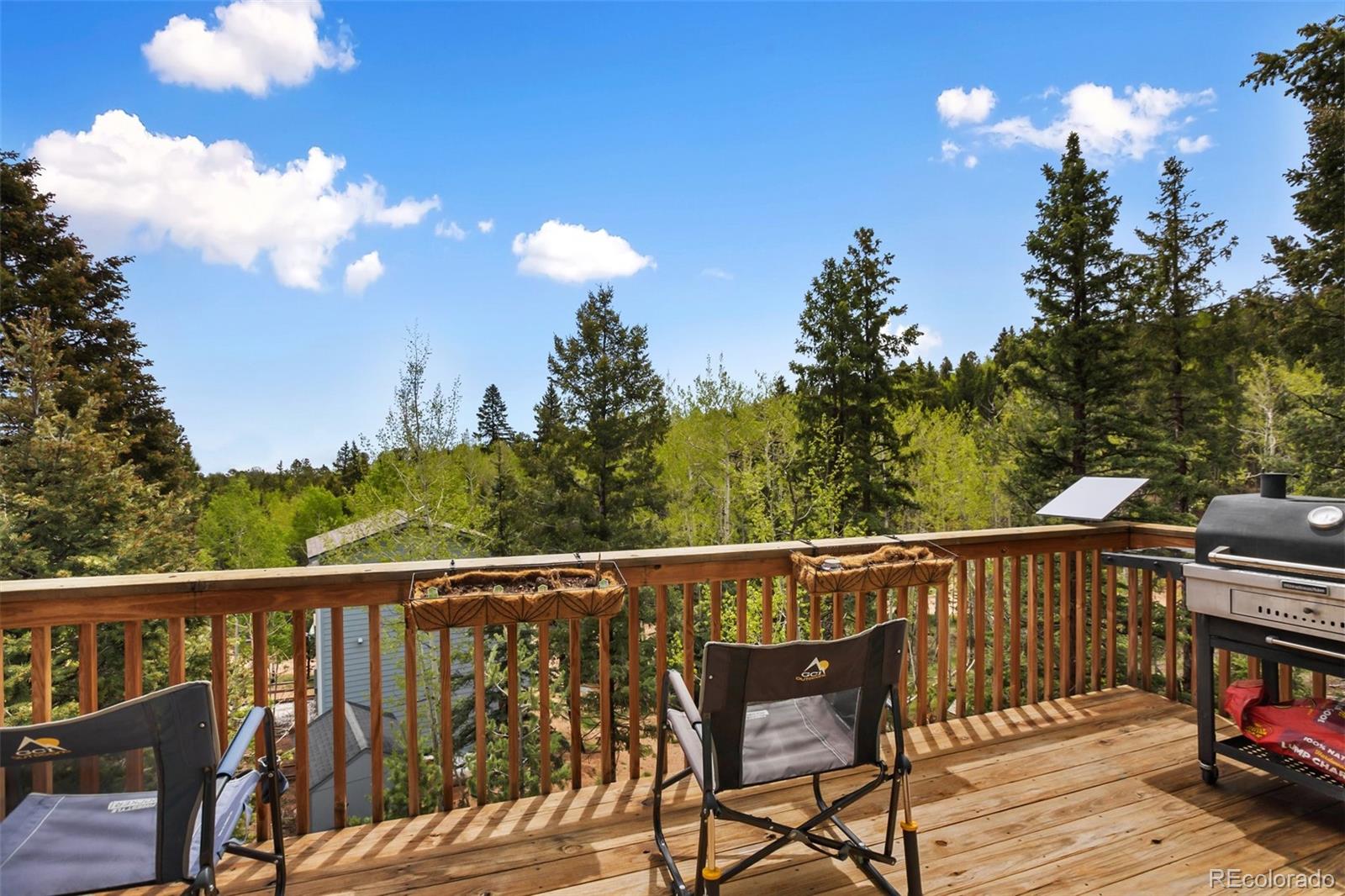 MLS Image #19 for 501  wakanda trail,woodland park, Colorado