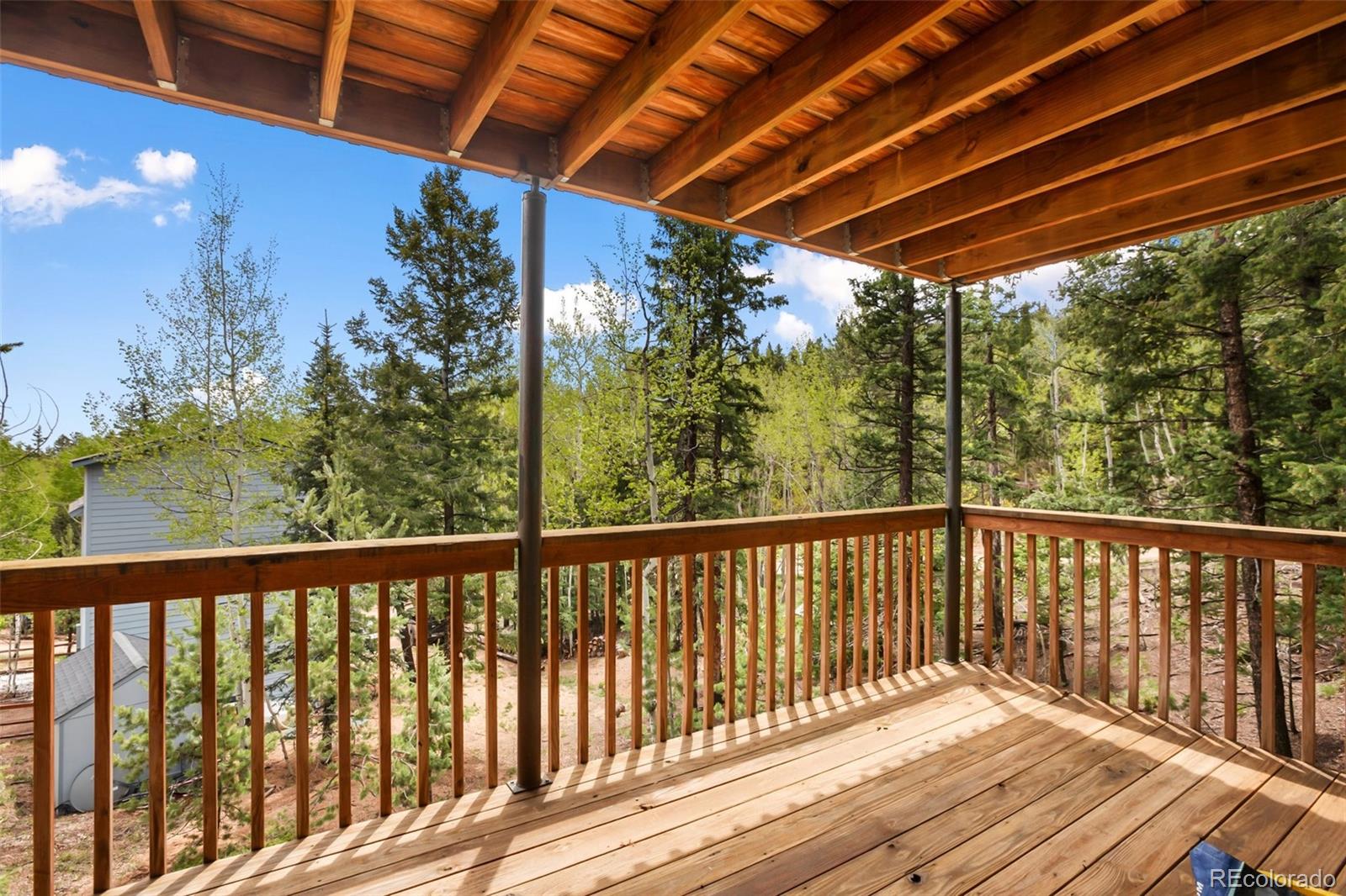 MLS Image #20 for 501  wakanda trail,woodland park, Colorado
