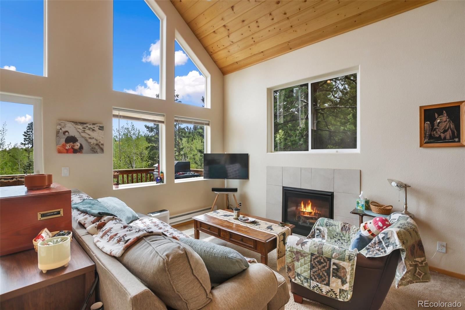 MLS Image #3 for 501  wakanda trail,woodland park, Colorado
