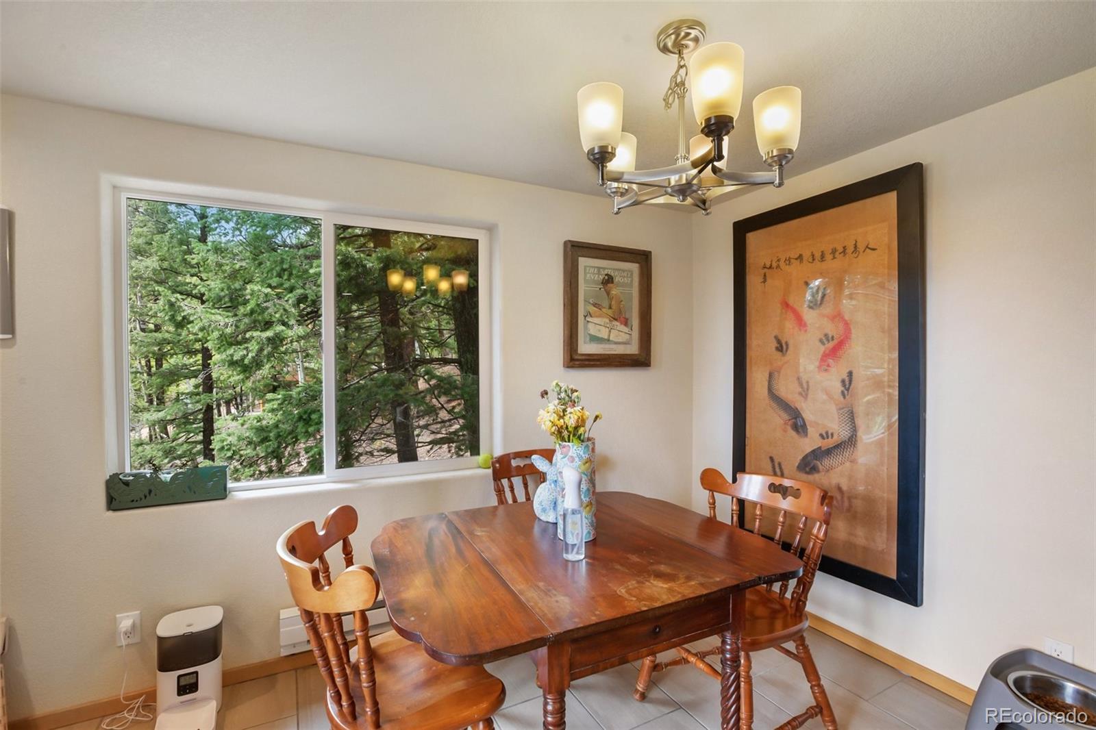 MLS Image #9 for 501  wakanda trail,woodland park, Colorado