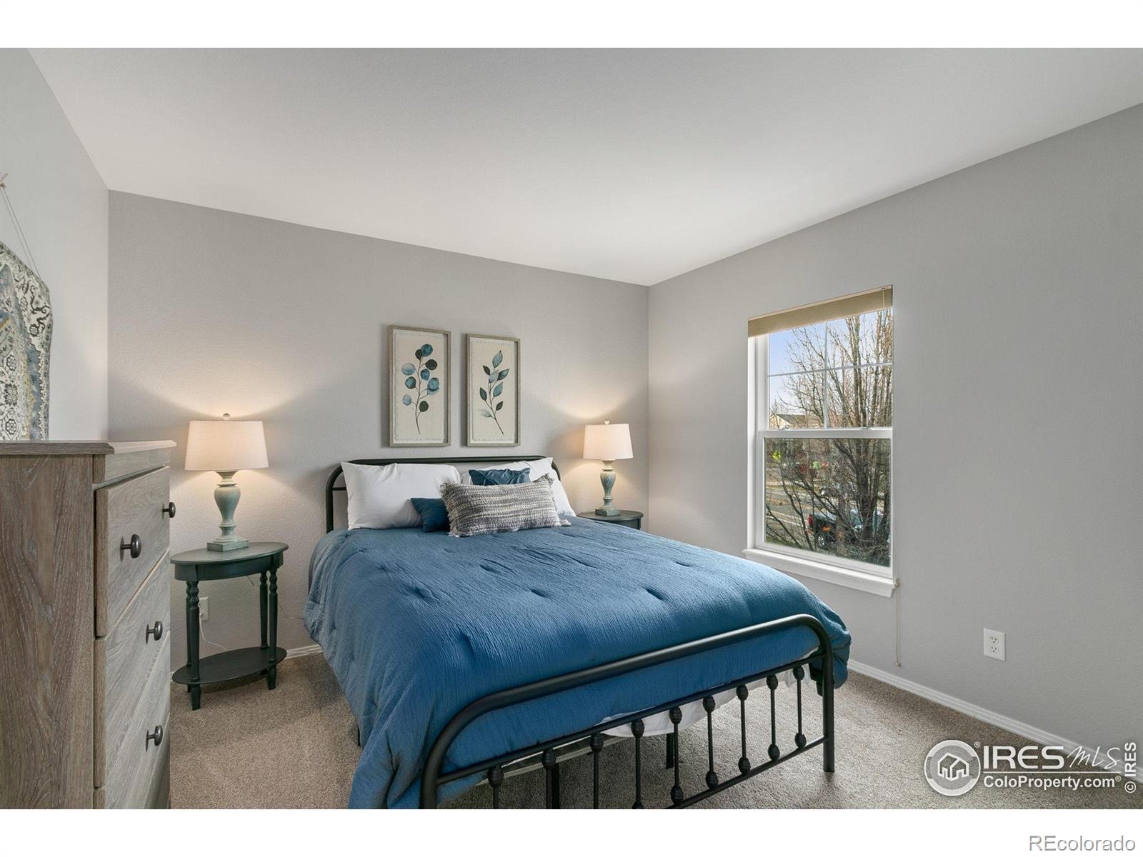 MLS Image #16 for 2615  rock creek drive,fort collins, Colorado