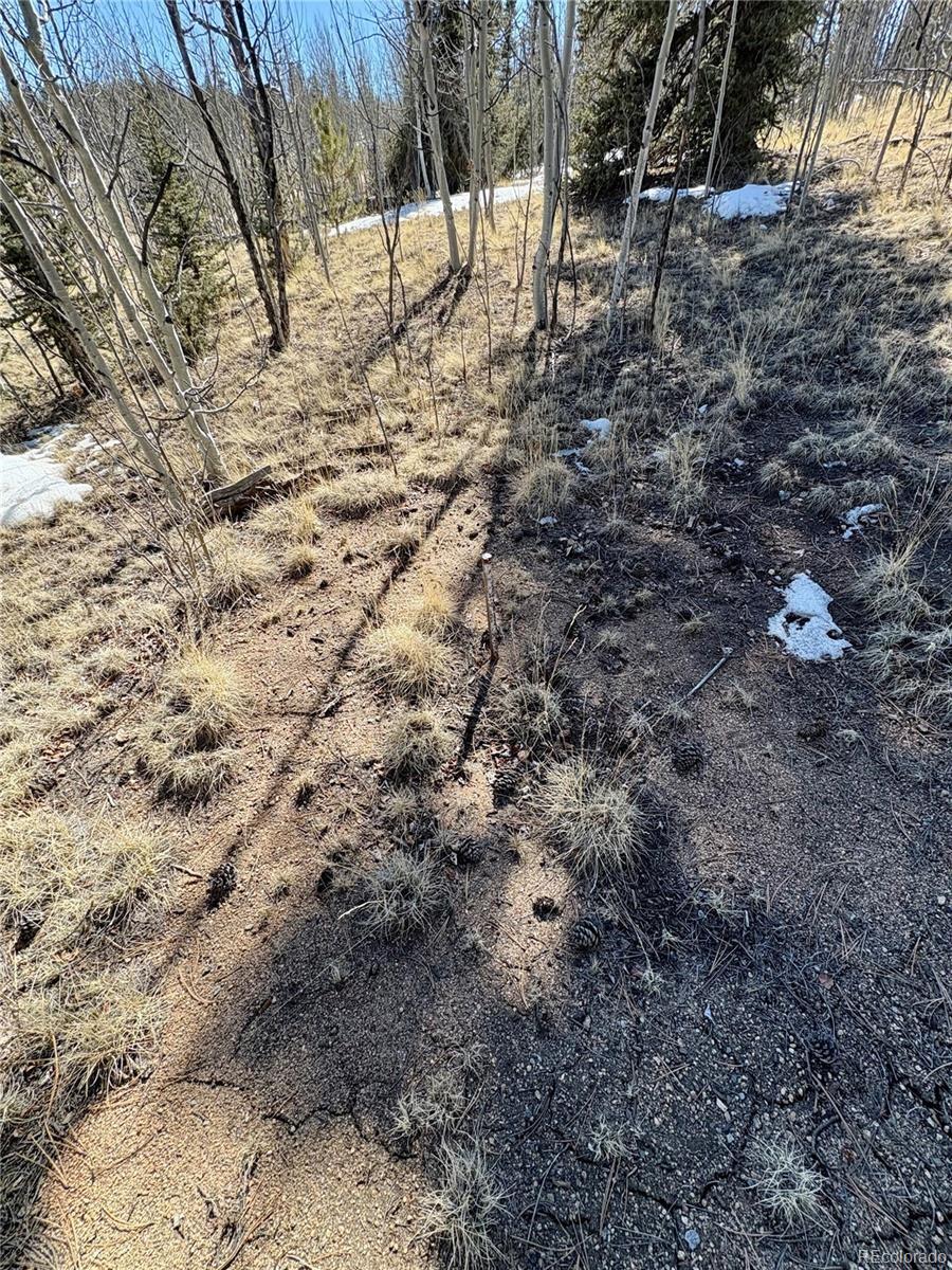 MLS Image #16 for 1245  winchester drive,como, Colorado