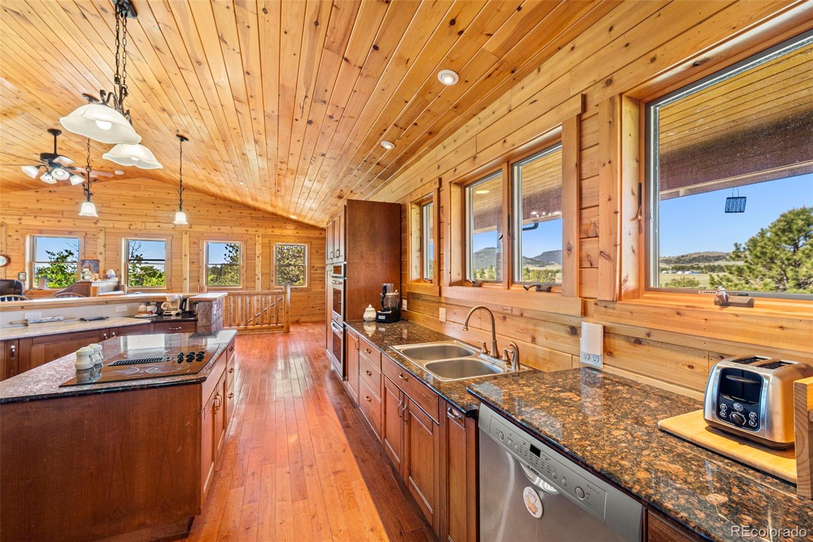 MLS Image #12 for 3980  county rd 71 ,guffey, Colorado