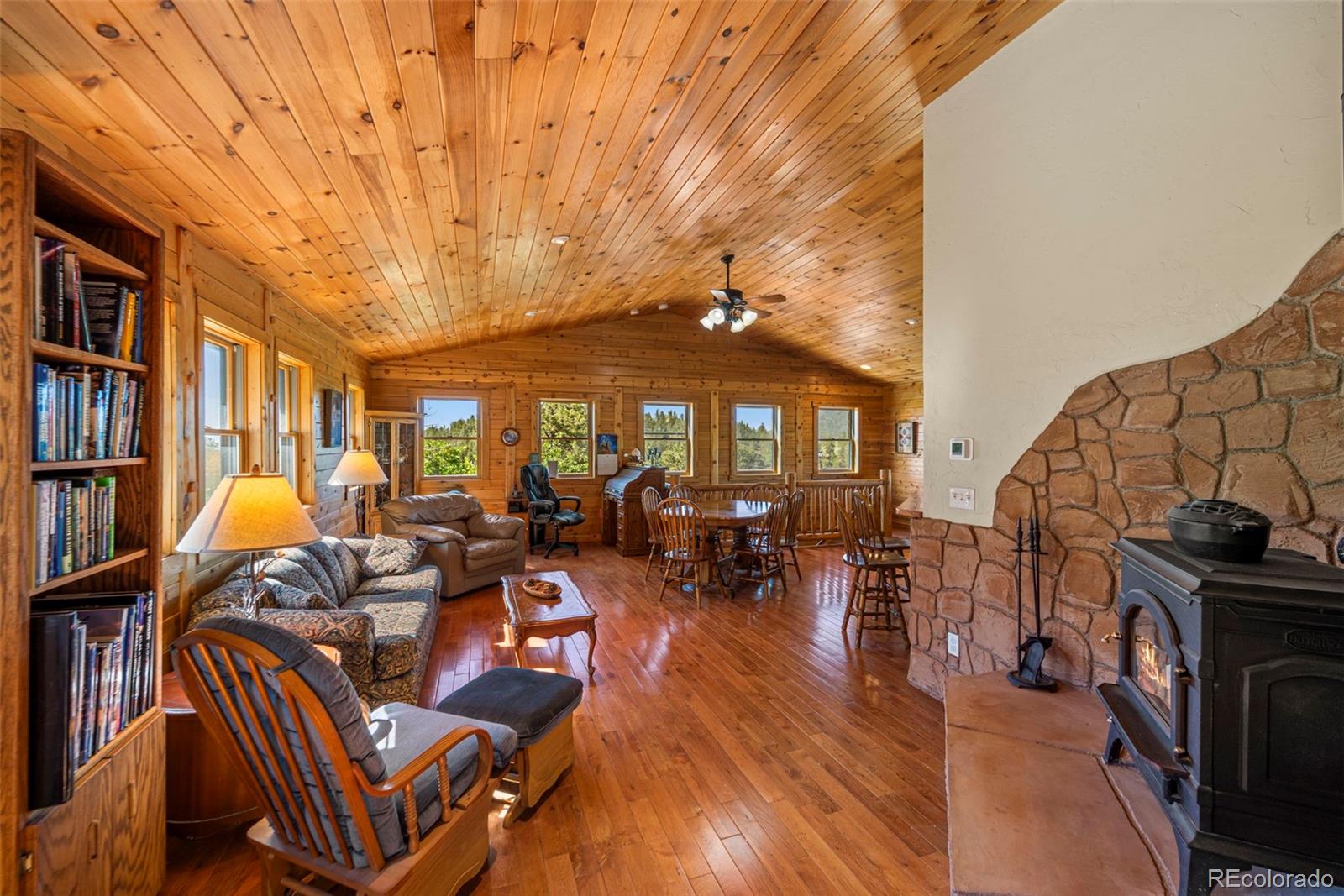 MLS Image #17 for 3980  county rd 71 ,guffey, Colorado