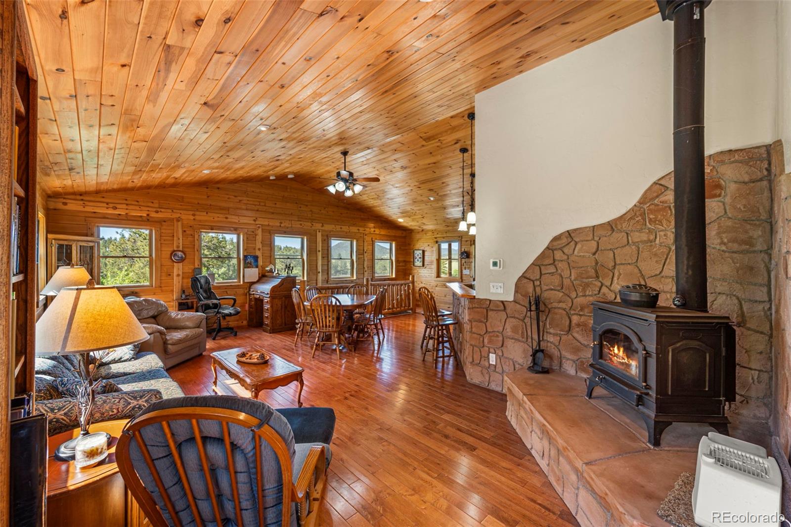 MLS Image #18 for 3980  county rd 71 ,guffey, Colorado