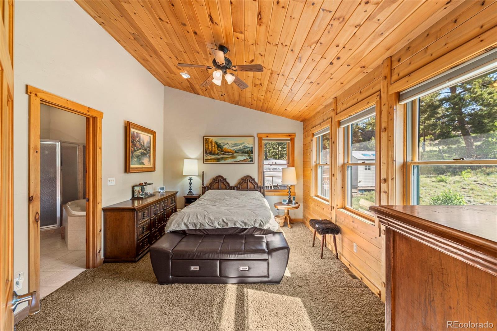 MLS Image #19 for 3980  county rd 71 ,guffey, Colorado