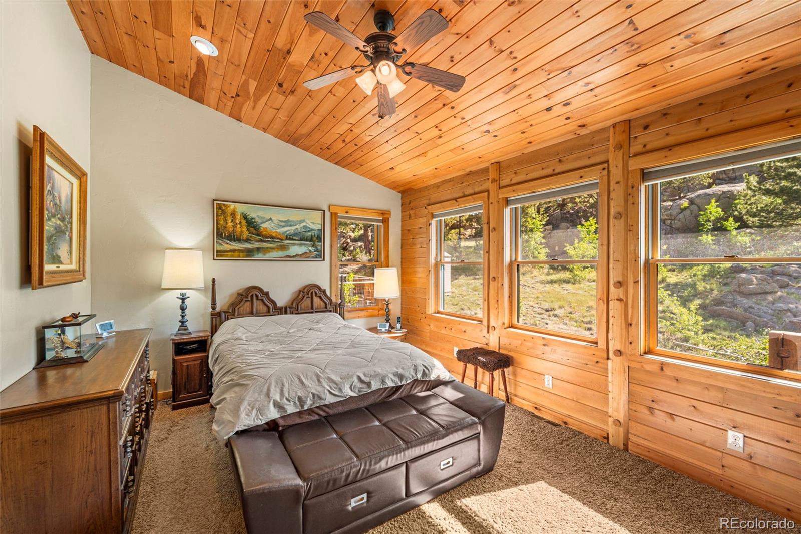 MLS Image #20 for 3980  county rd 71 ,guffey, Colorado