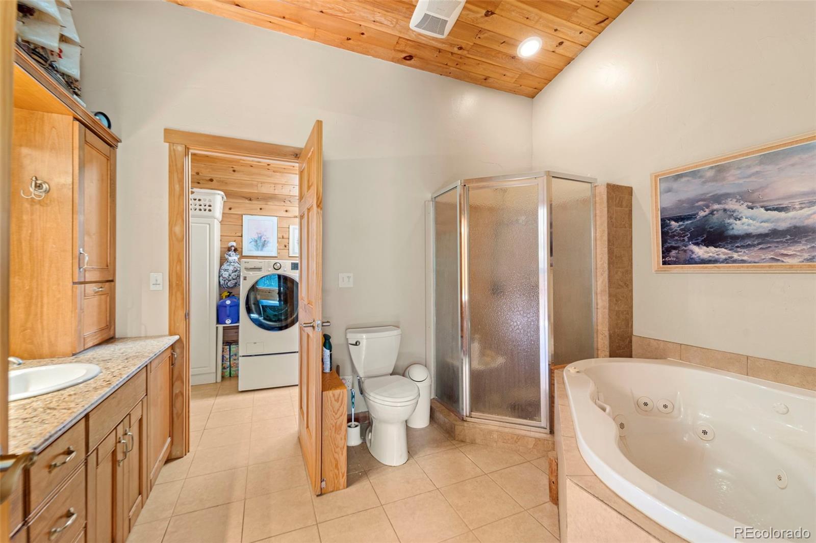 MLS Image #21 for 3980  county rd 71 ,guffey, Colorado