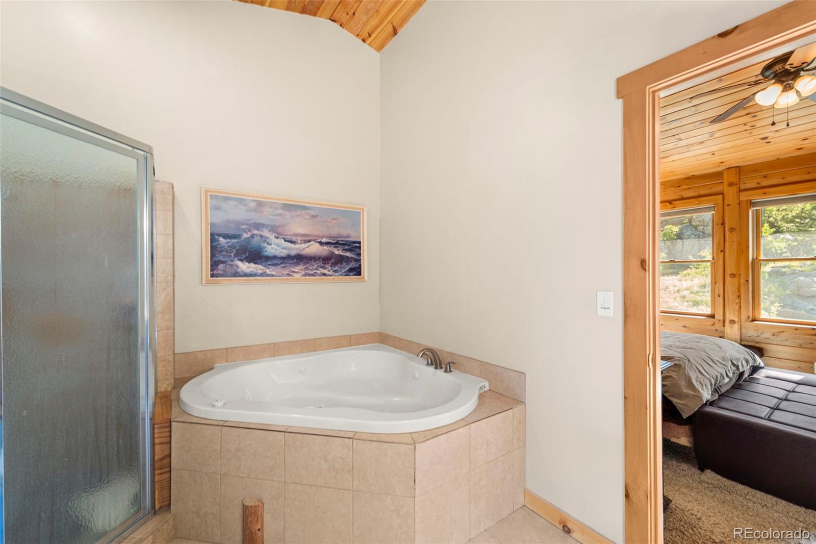 MLS Image #23 for 3980  county rd 71 ,guffey, Colorado