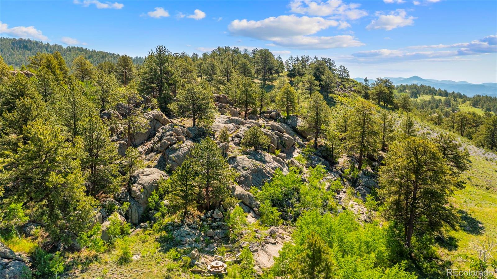 MLS Image #41 for 3980  county rd 71 ,guffey, Colorado