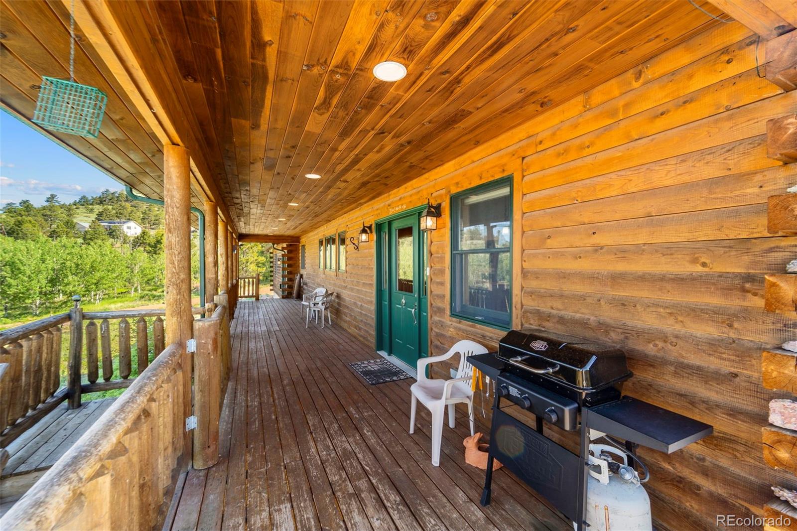 MLS Image #7 for 3980  county rd 71 ,guffey, Colorado