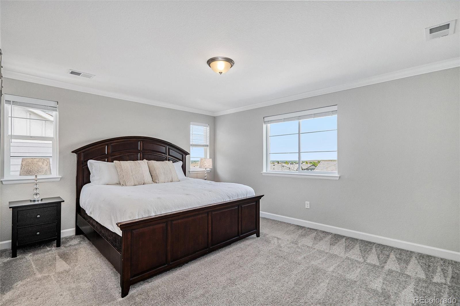 MLS Image #14 for 3453  pacific peak drive,broomfield, Colorado
