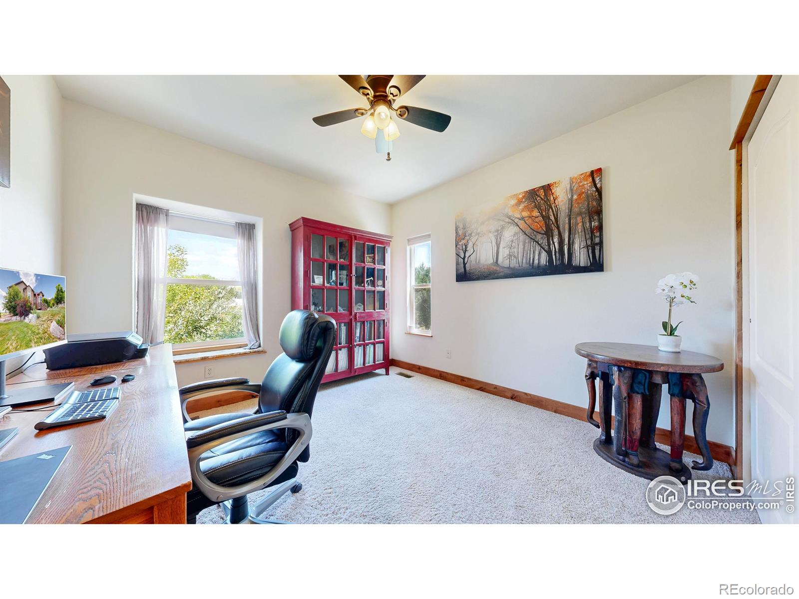 MLS Image #30 for 3570  mill iron court,milliken, Colorado