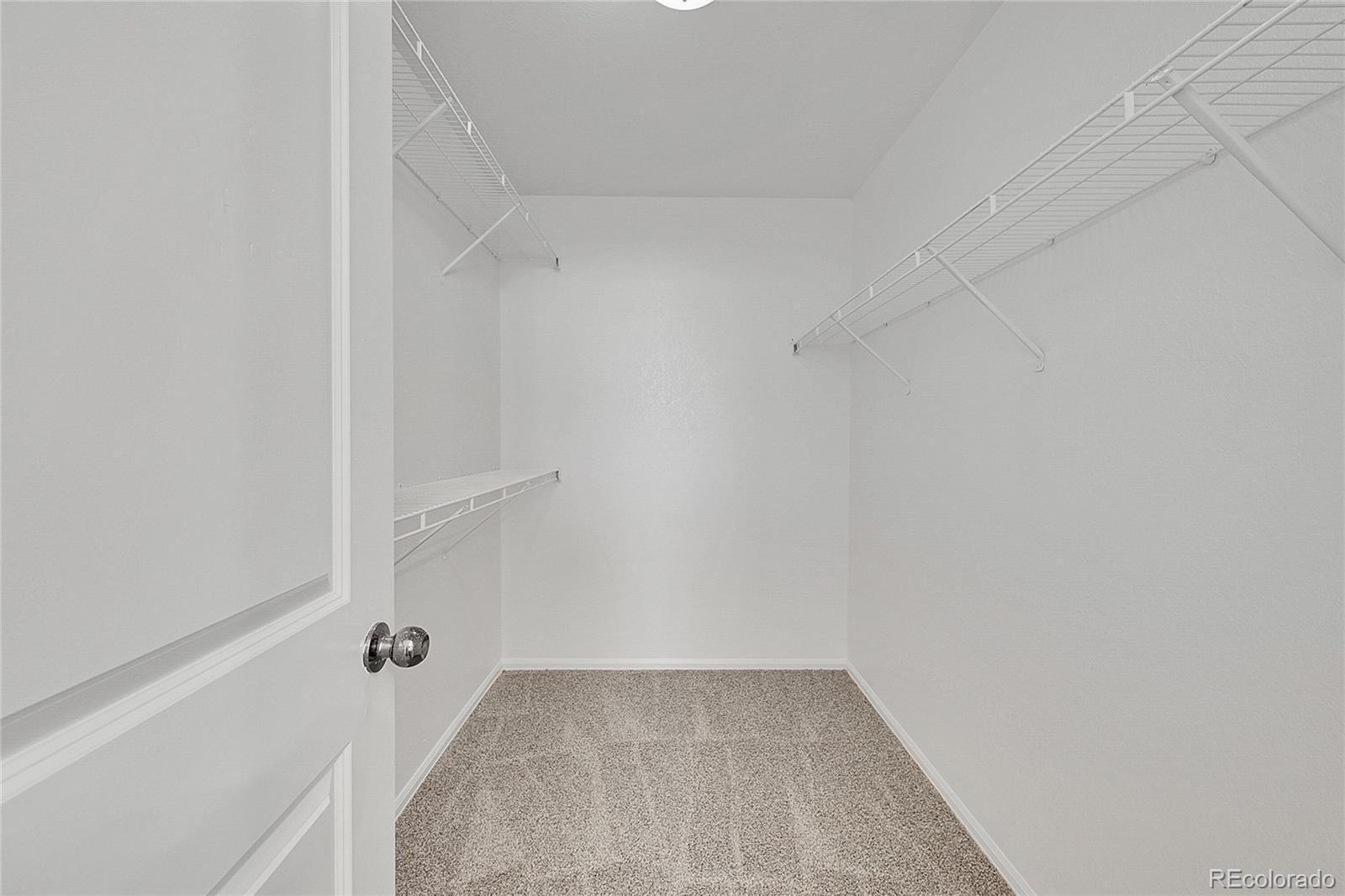 MLS Image #13 for 2923  avocado avenue,greeley, Colorado