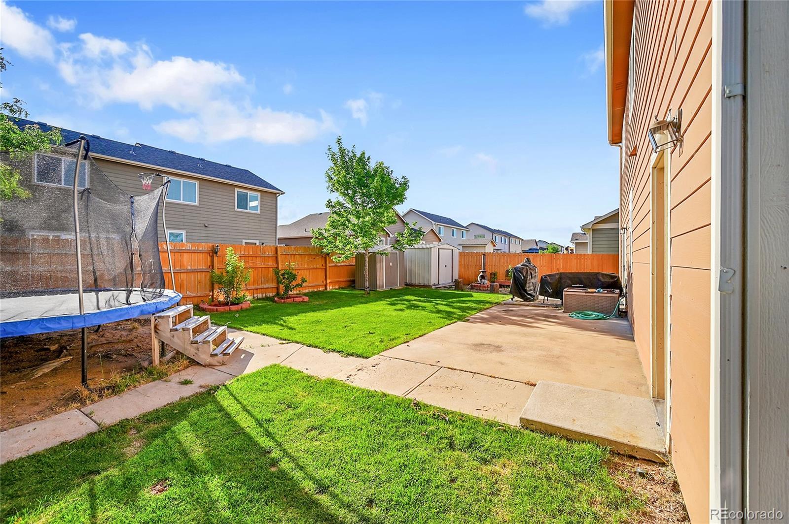 MLS Image #21 for 2923  avocado avenue,greeley, Colorado