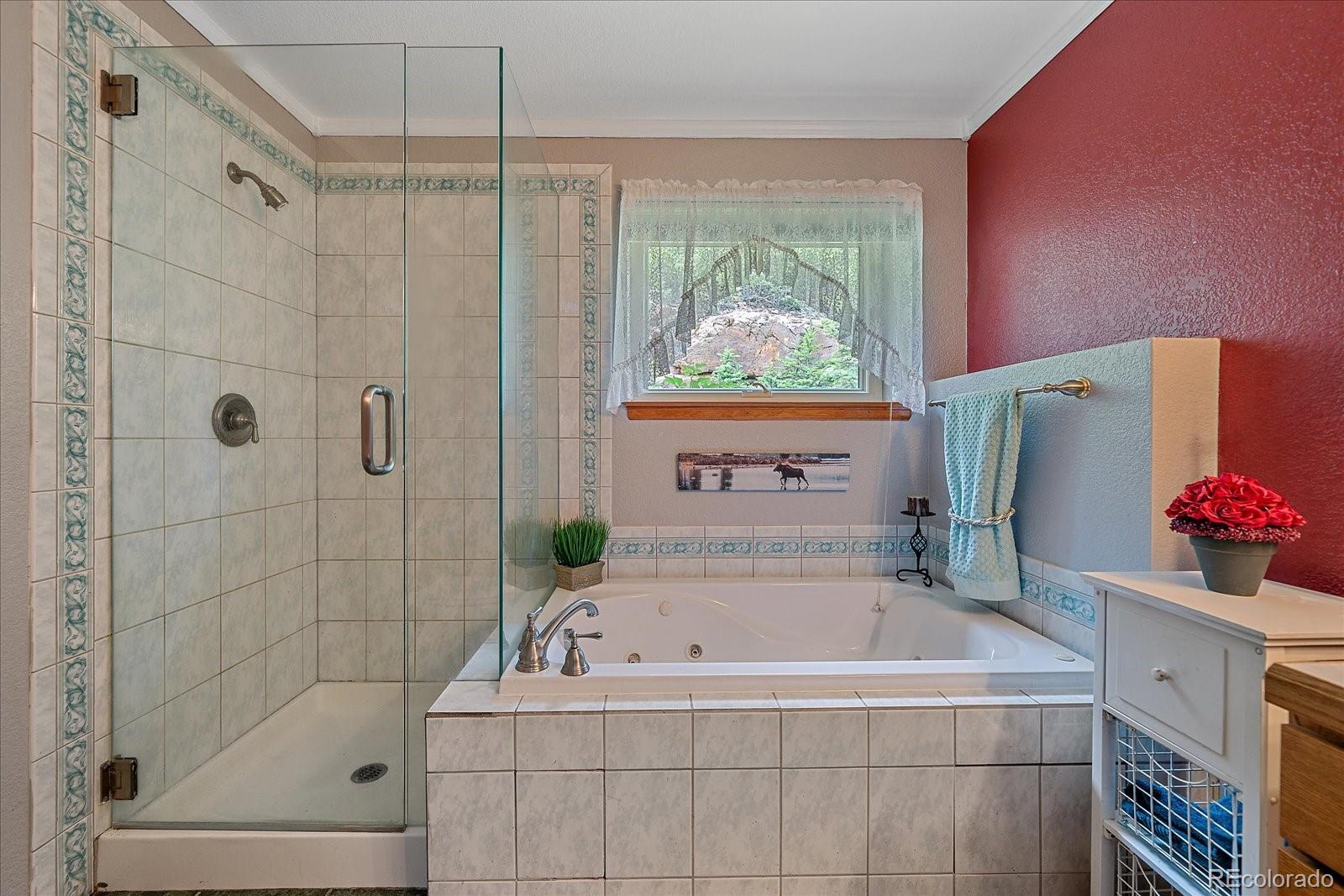 MLS Image #17 for 27612  shadow mountain drive,conifer, Colorado