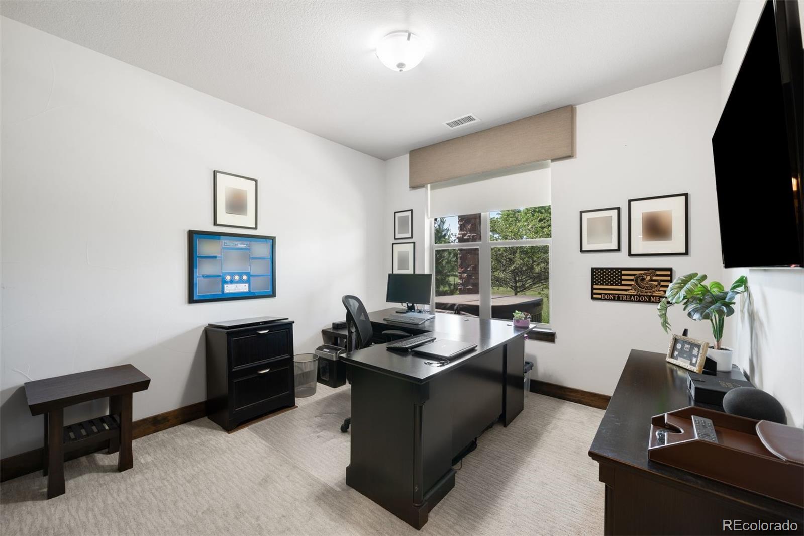 MLS Image #36 for 10243  spring green drive,englewood, Colorado