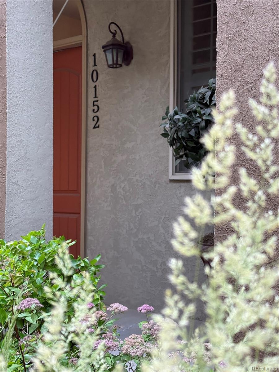 MLS Image #1 for 10152  bluffmont lane,lone tree, Colorado