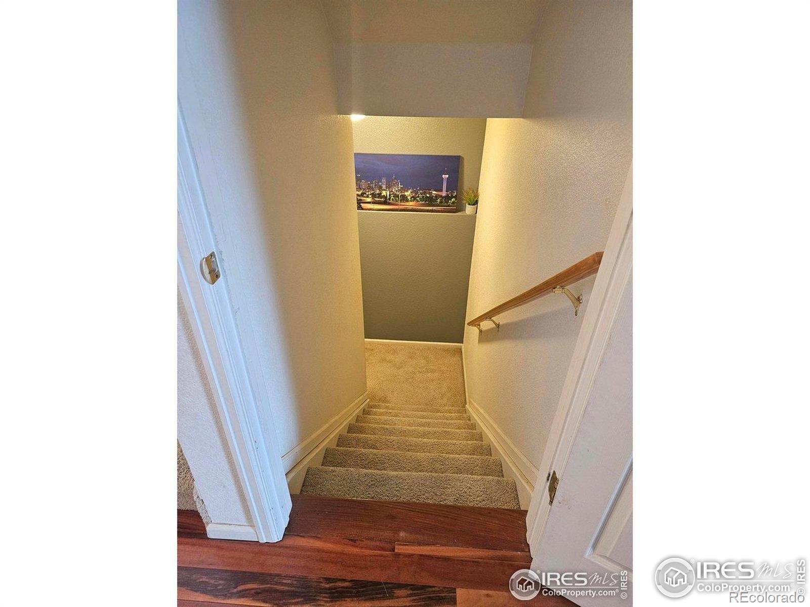 MLS Image #23 for 12609  jersey circle,thornton, Colorado