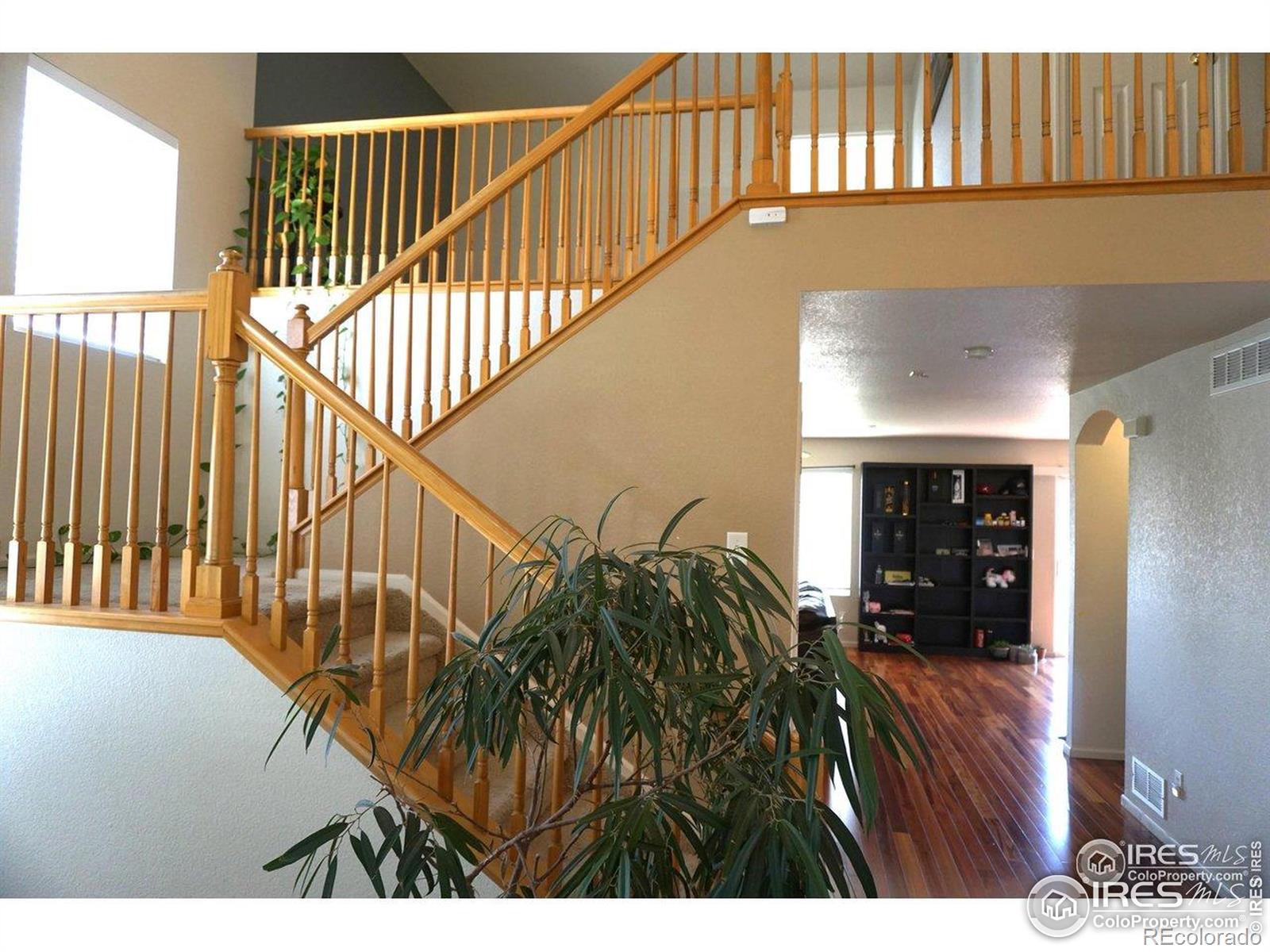 MLS Image #3 for 12609  jersey circle,thornton, Colorado