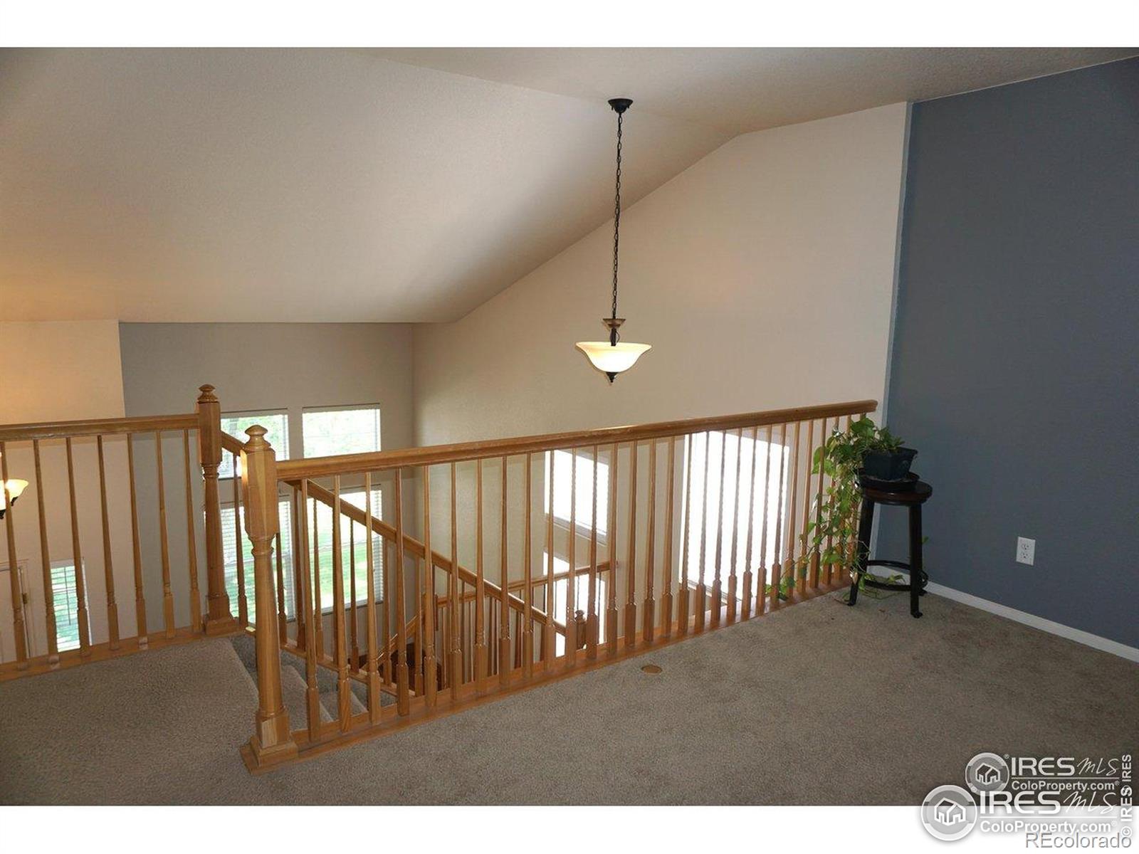 MLS Image #37 for 12609  jersey circle,thornton, Colorado