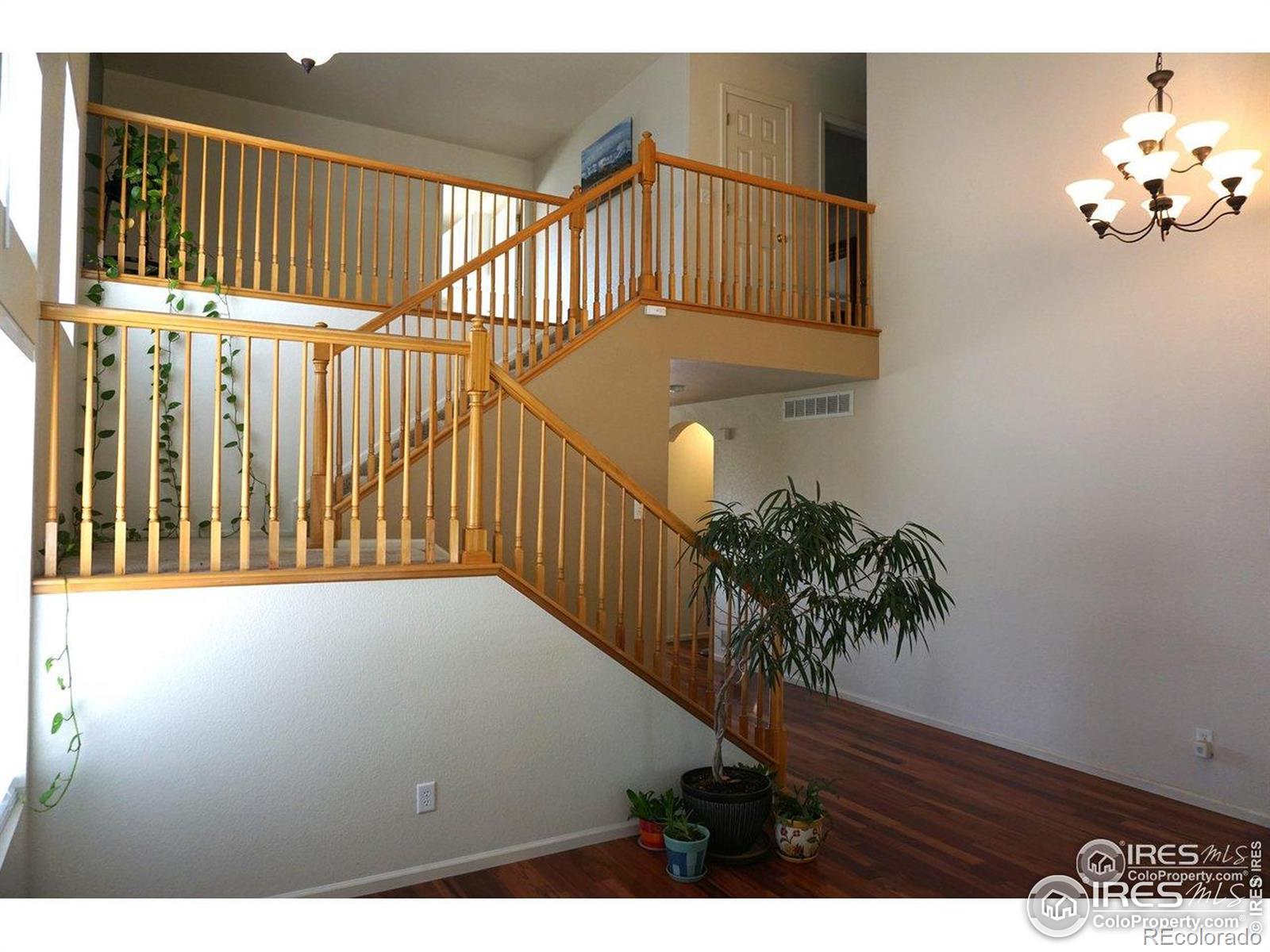 MLS Image #4 for 12609  jersey circle,thornton, Colorado