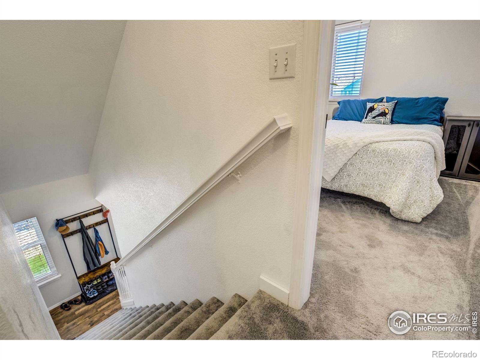 MLS Image #17 for 533  horizon place,dacono, Colorado