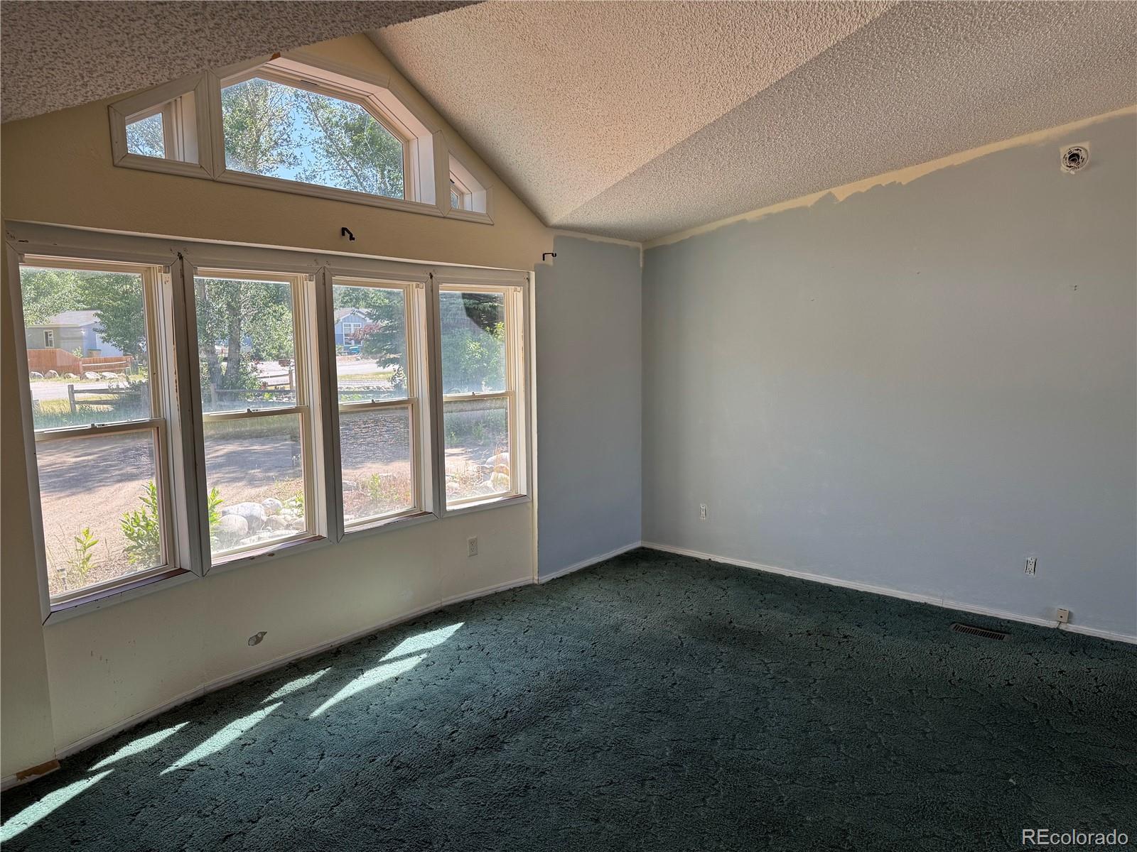 MLS Image #6 for 500  hoover circle,poncha springs, Colorado