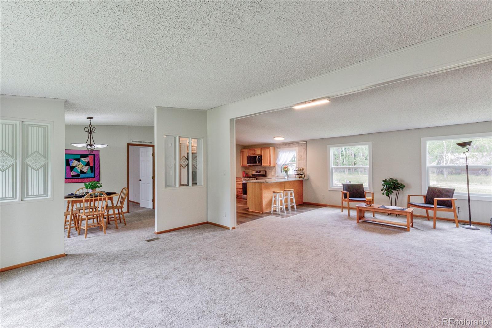 MLS Image #12 for 910 w main street,buena vista, Colorado