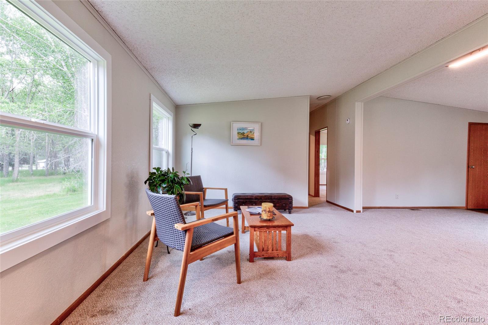 MLS Image #14 for 910 w main street,buena vista, Colorado