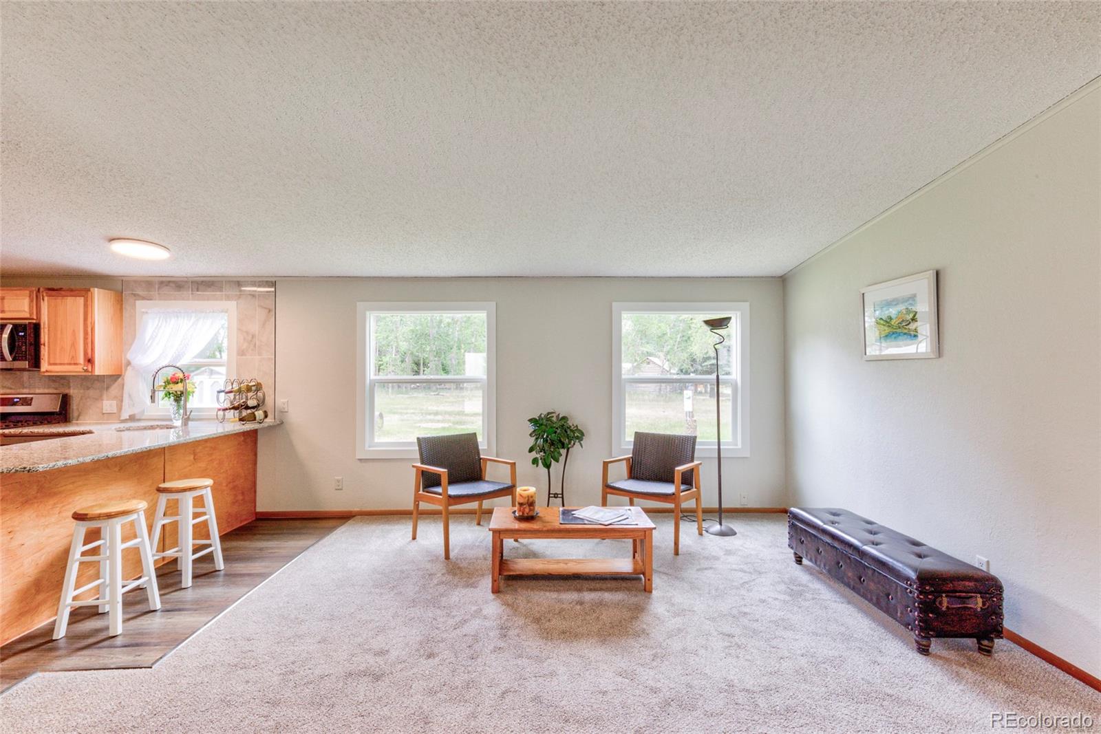 MLS Image #4 for 910 w main street,buena vista, Colorado