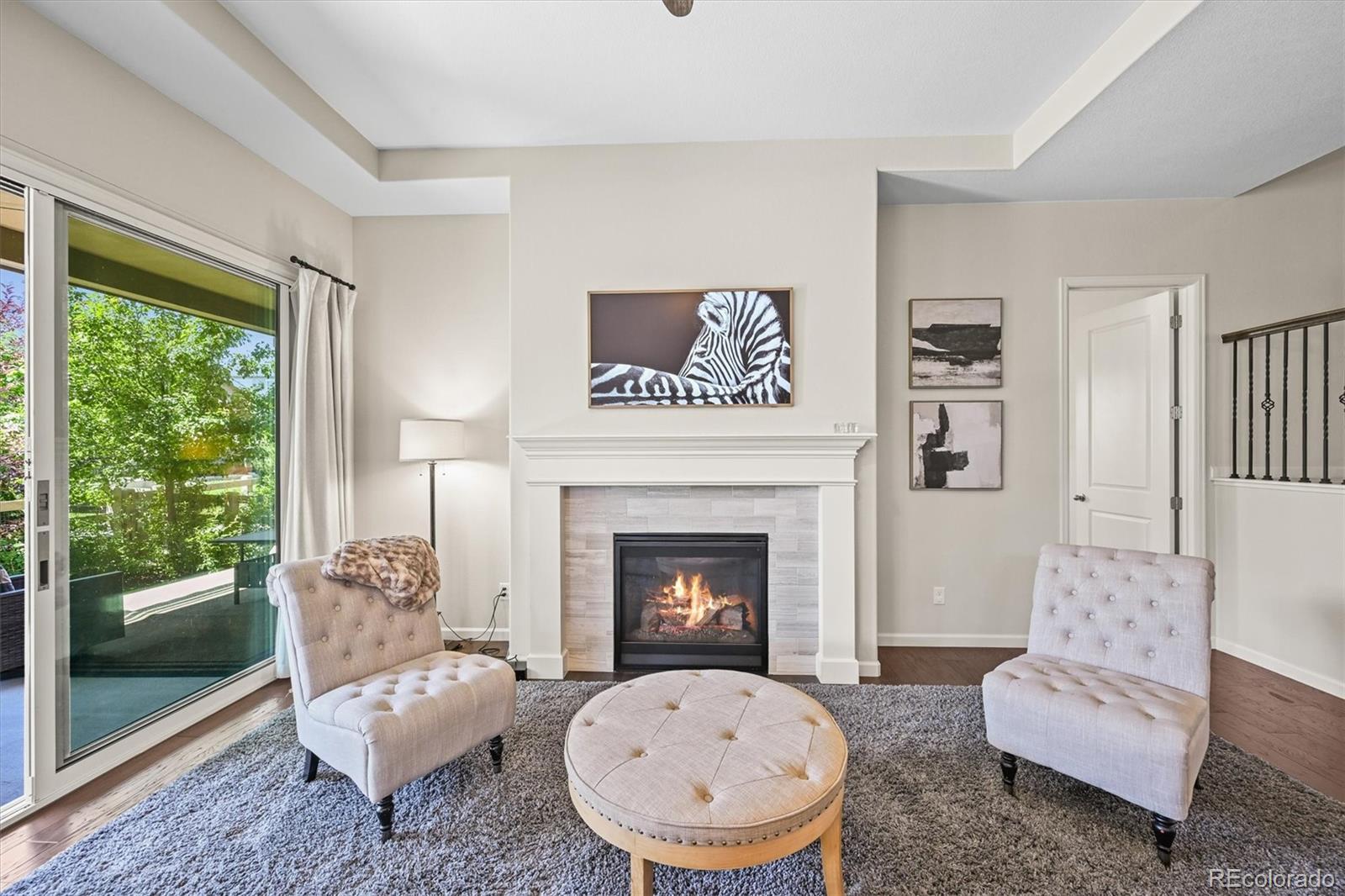 MLS Image #10 for 8056  piney river avenue,littleton, Colorado