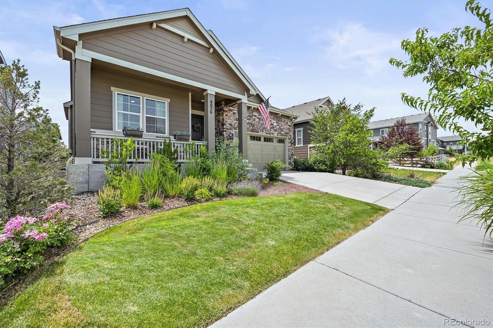 MLS Image #2 for 8056  piney river avenue,littleton, Colorado