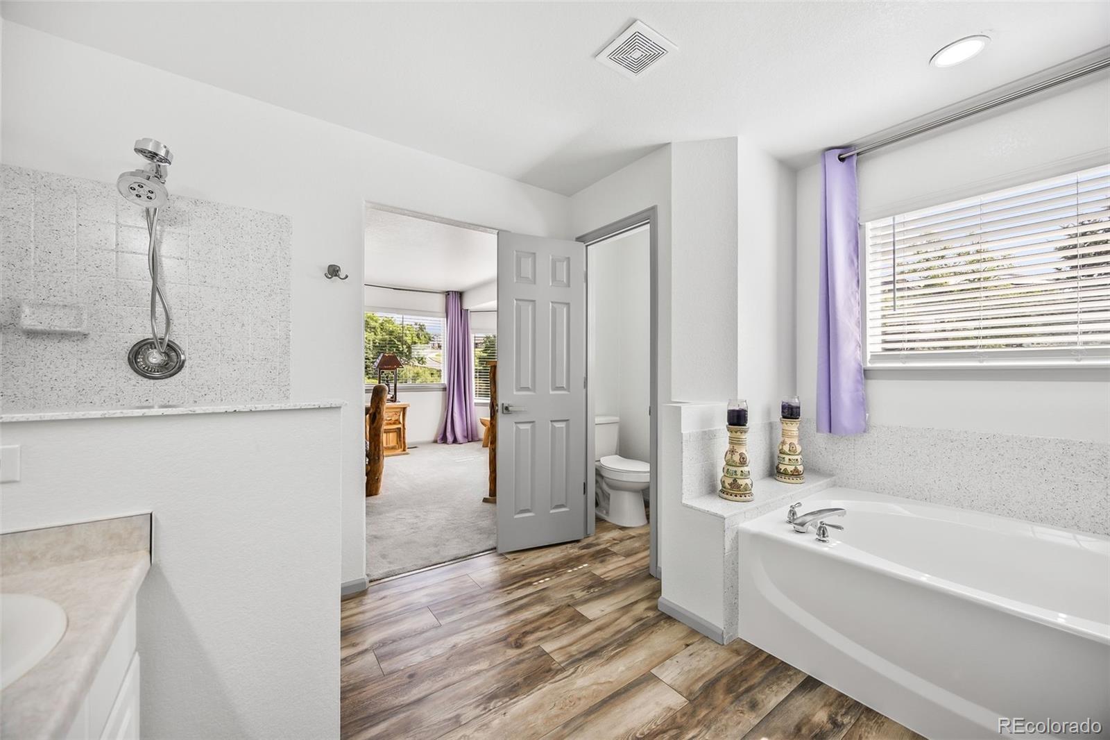 MLS Image #14 for 10530  mount columbia place,parker, Colorado