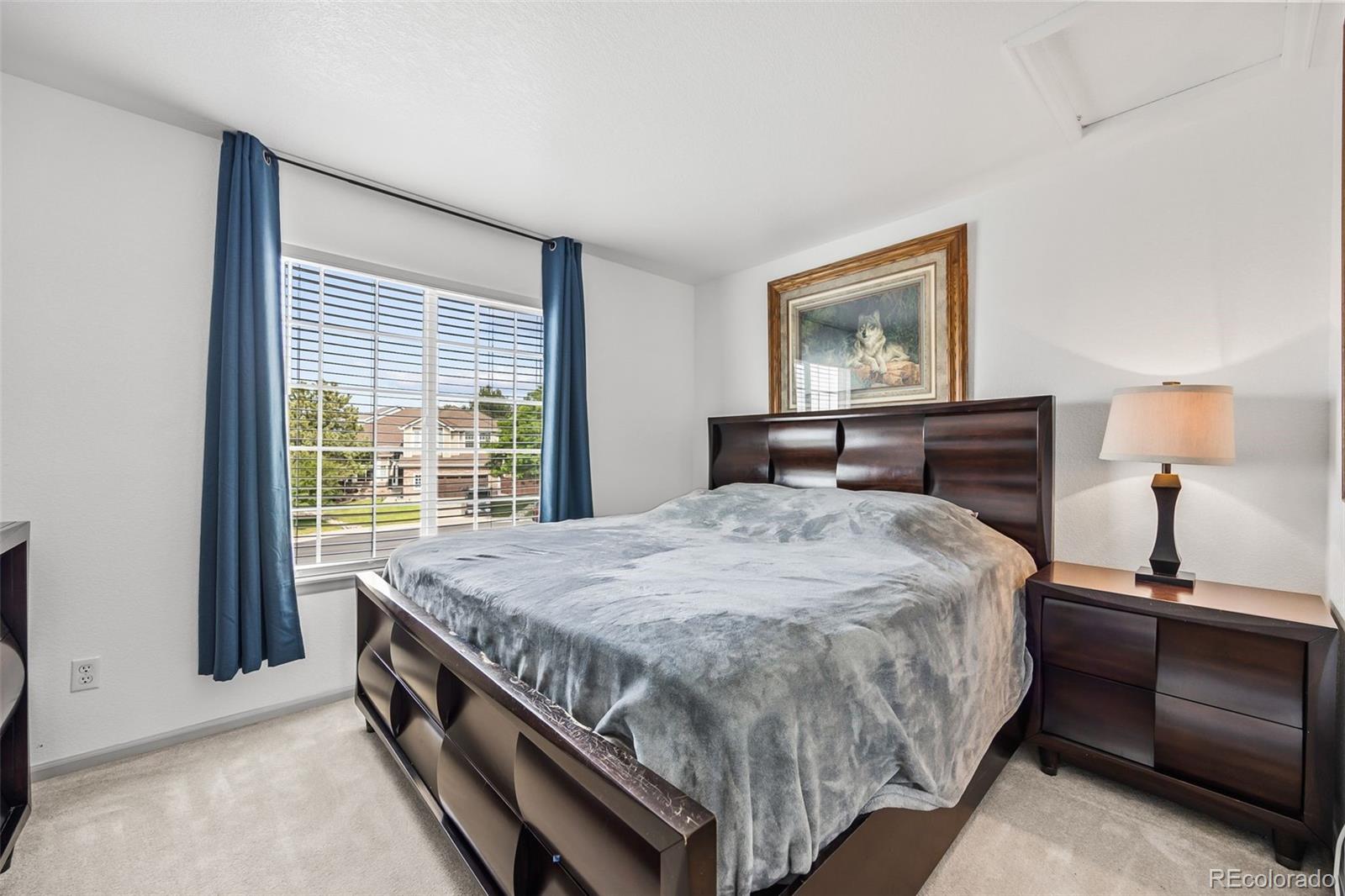 MLS Image #17 for 10530  mount columbia place,parker, Colorado